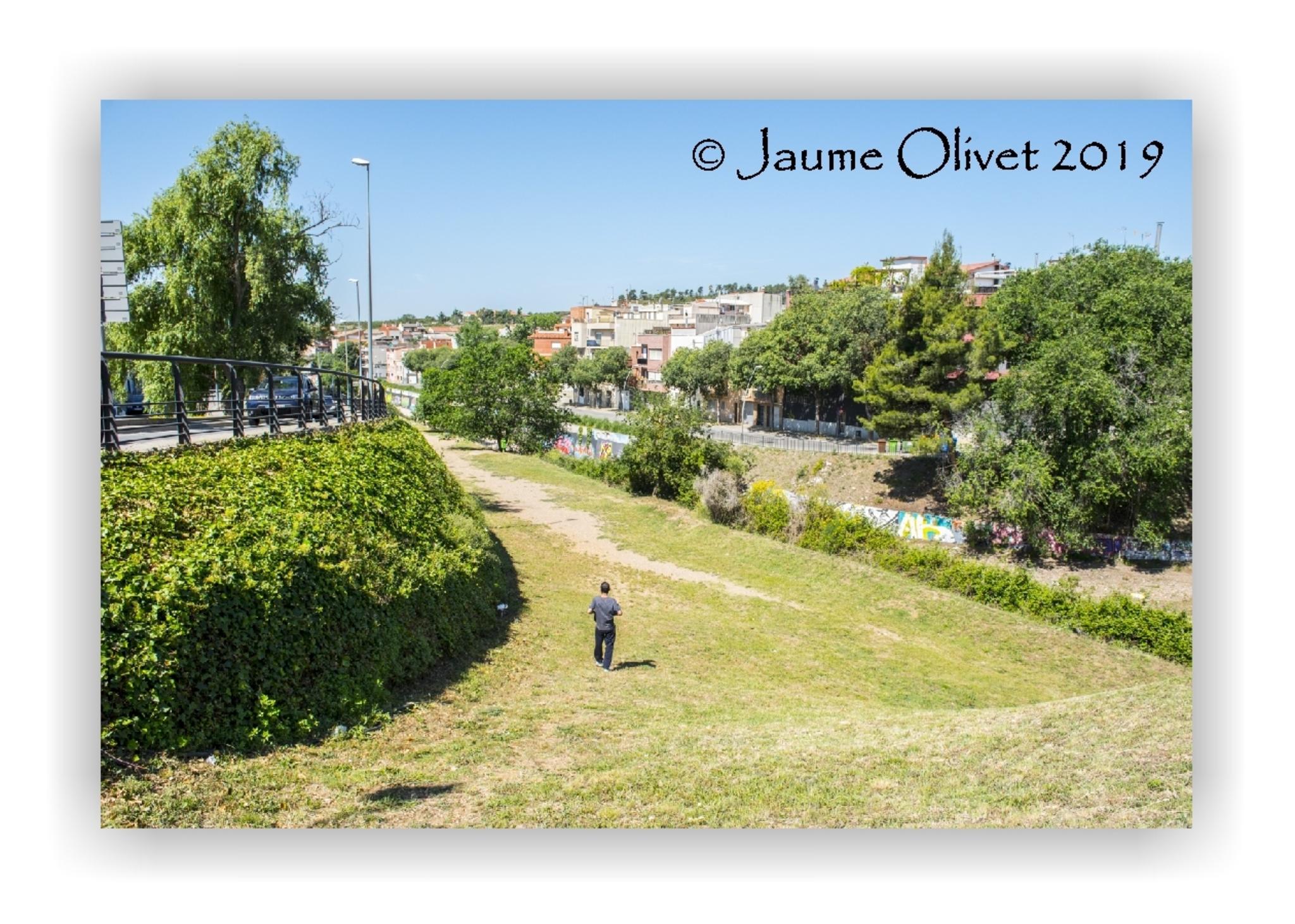  Jaume Olivet 2019