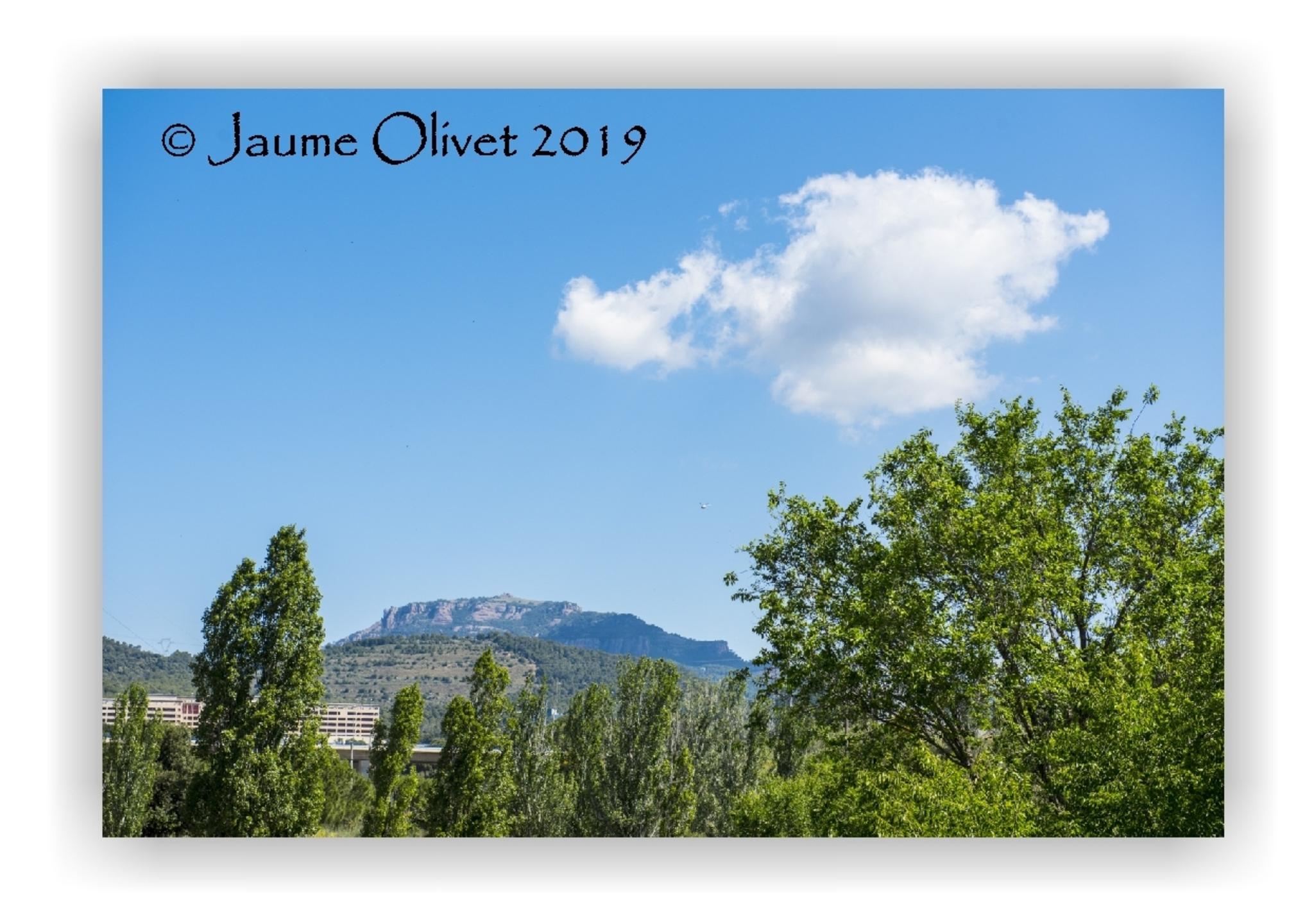  Jaume Olivet 2019