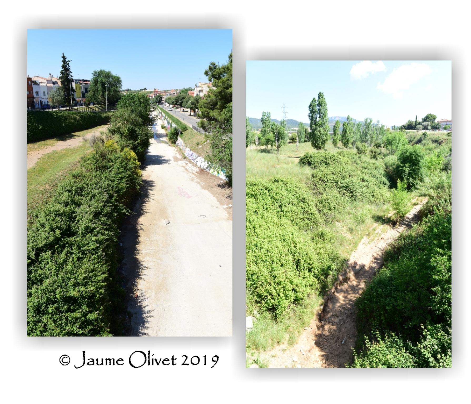  Jaume Olivet 2019