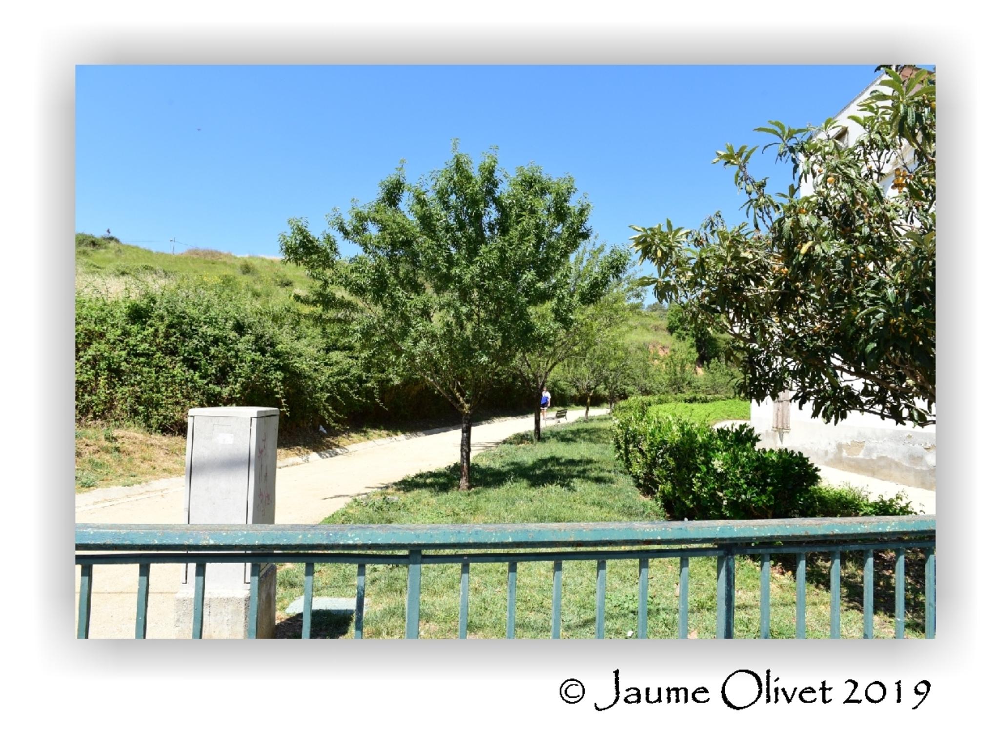  Jaume Olivet 2019