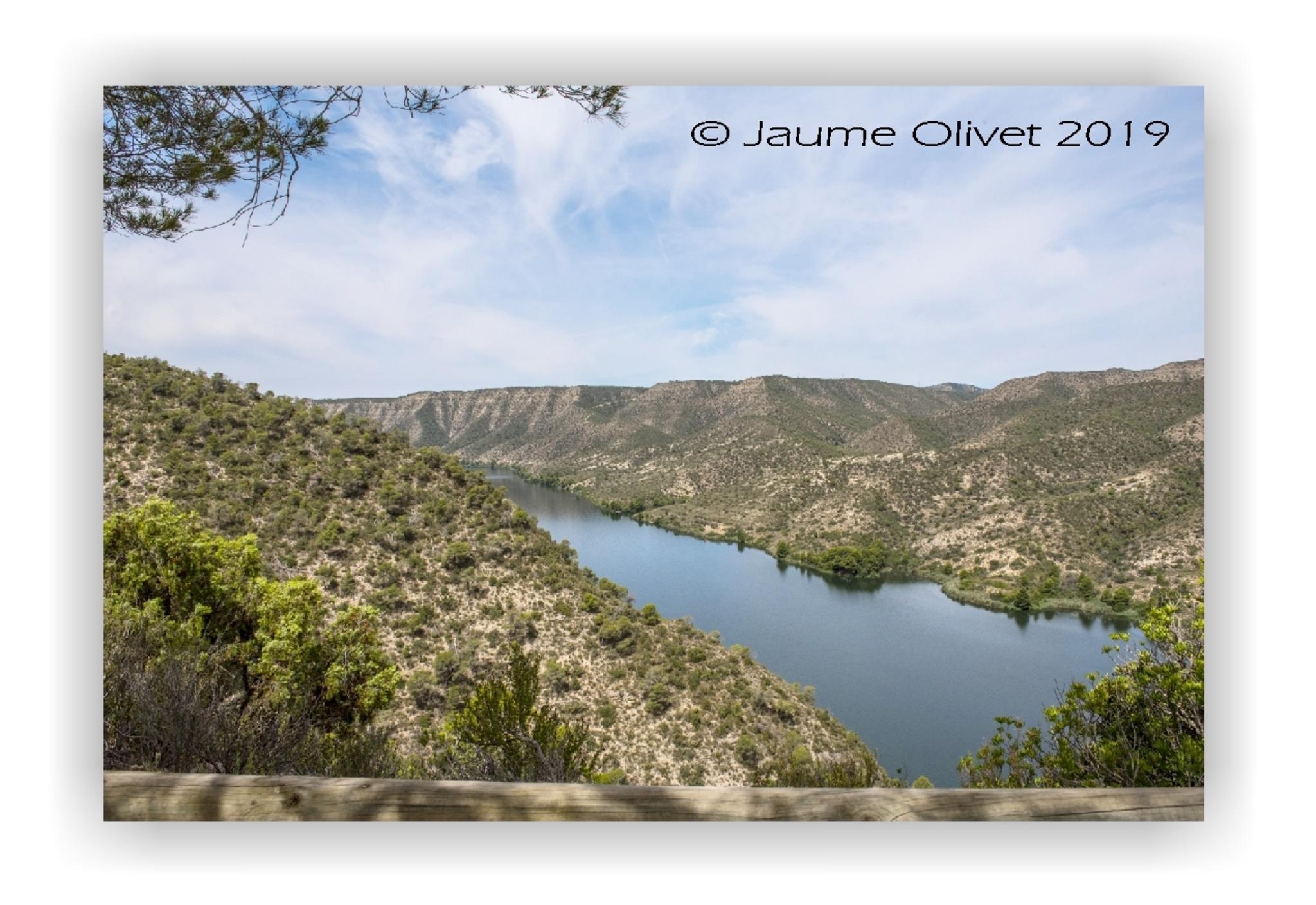  Jaume Olivet 2019
