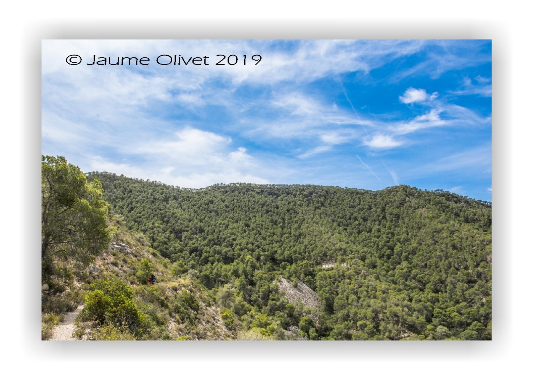  Jaume Olivet 2019