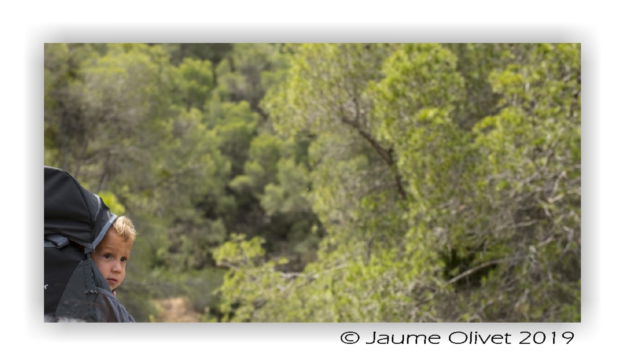  Jaume Olivet 2019