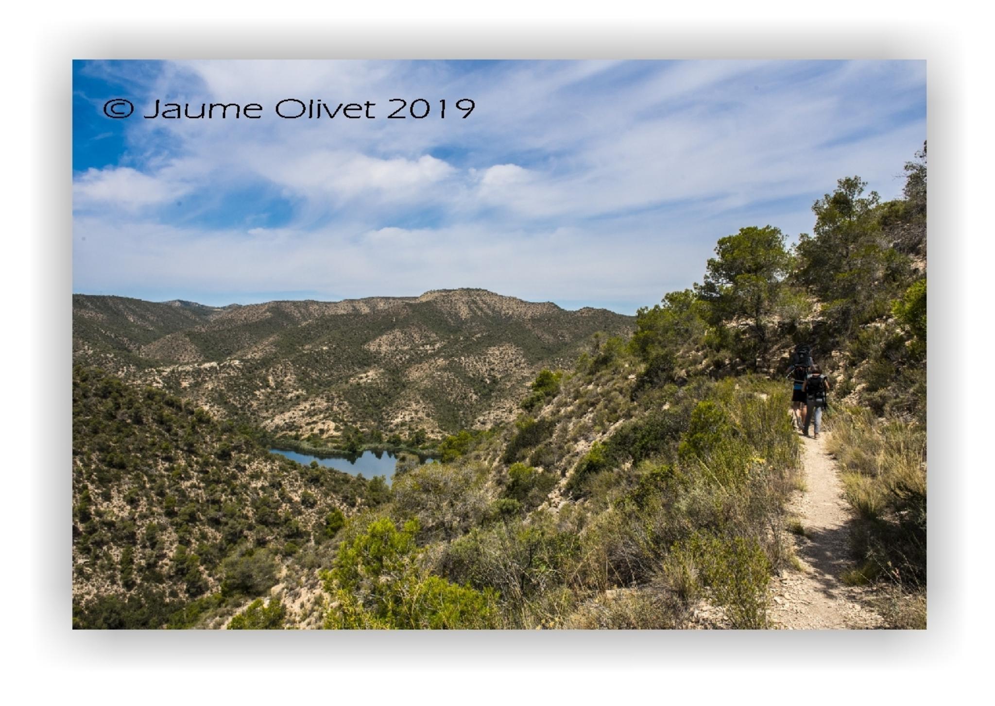  Jaume Olivet 2019
