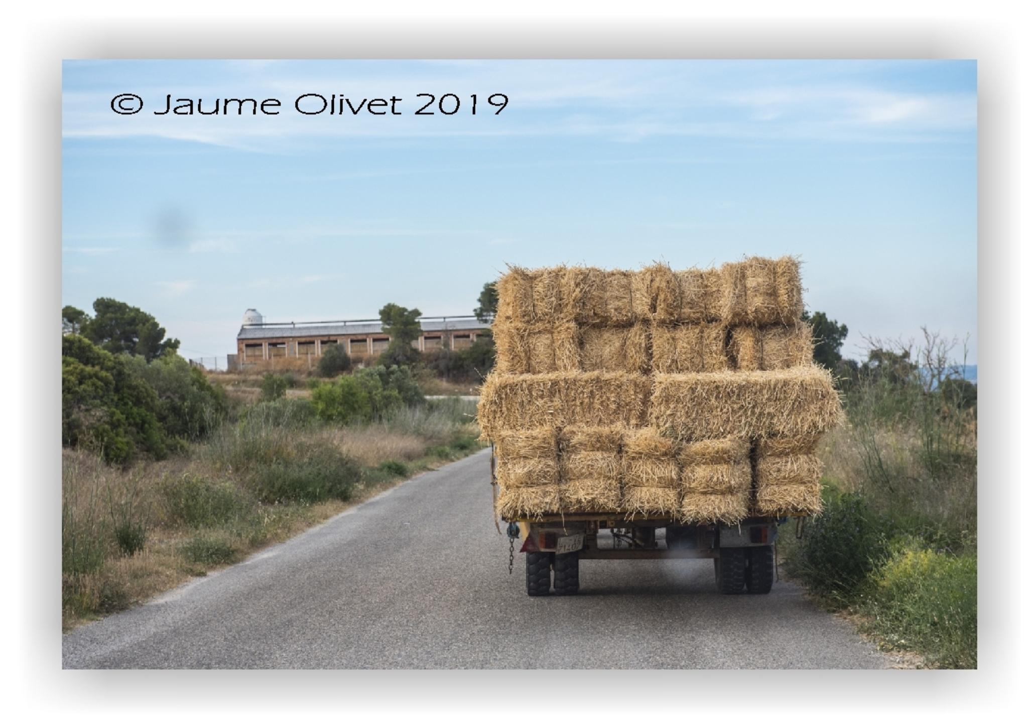  Jaume Olivet 2019