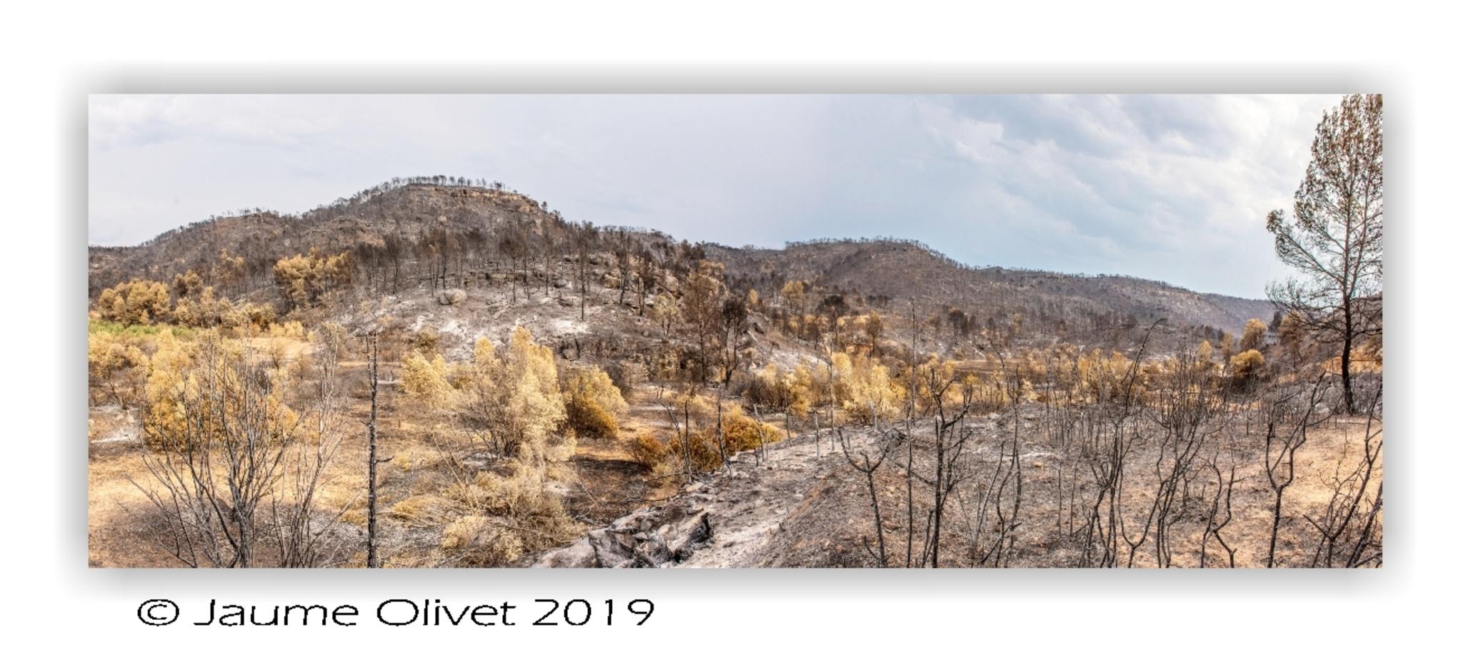  Jaume Olivet 2019