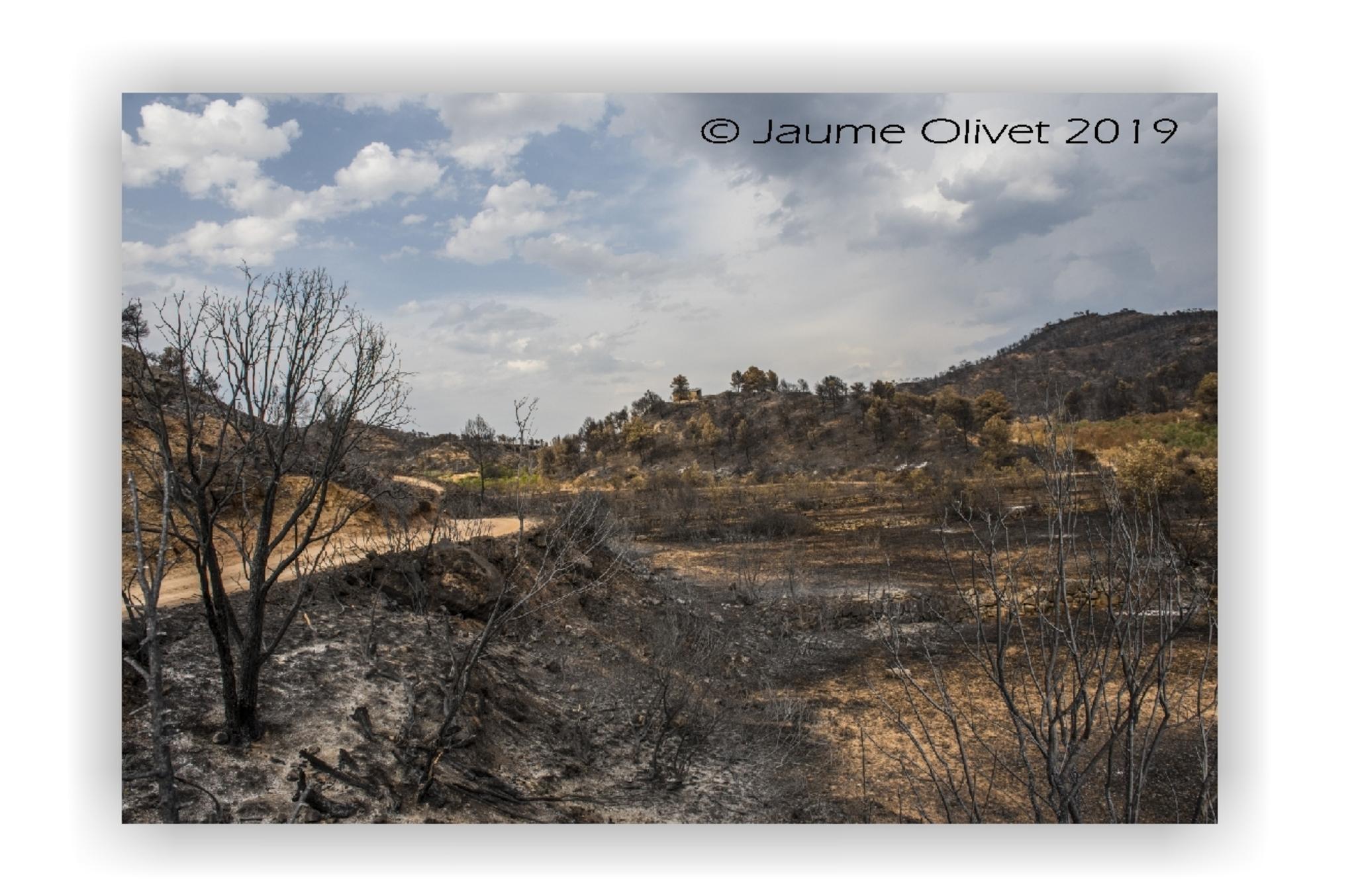 Jaume Olivet 2019