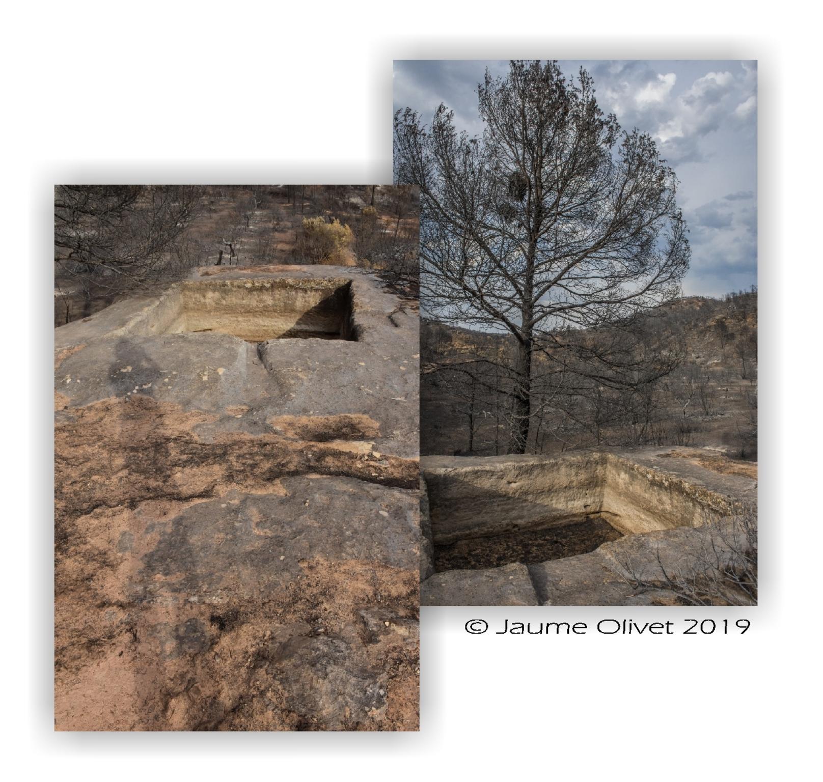  Jaume Olivet 2019