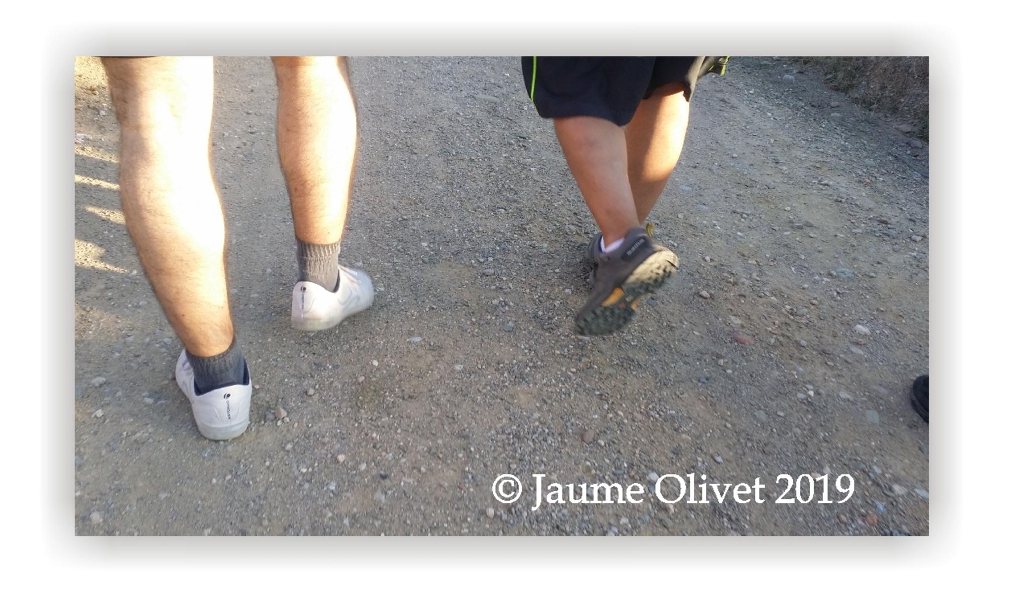  Jaume Olivet 2019