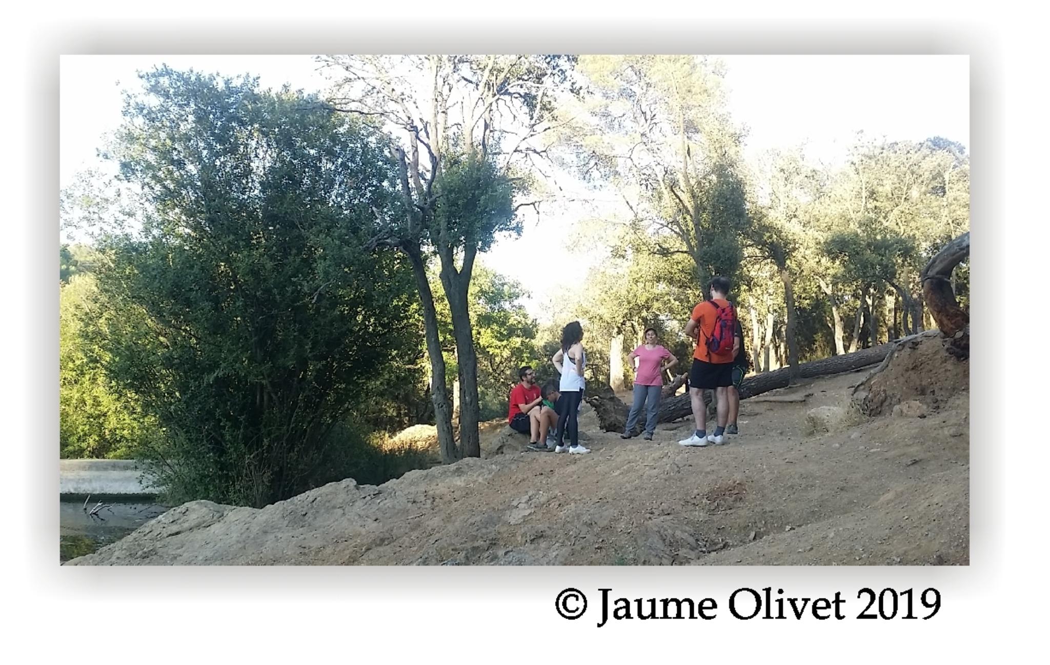  Jaume Olivet 2019