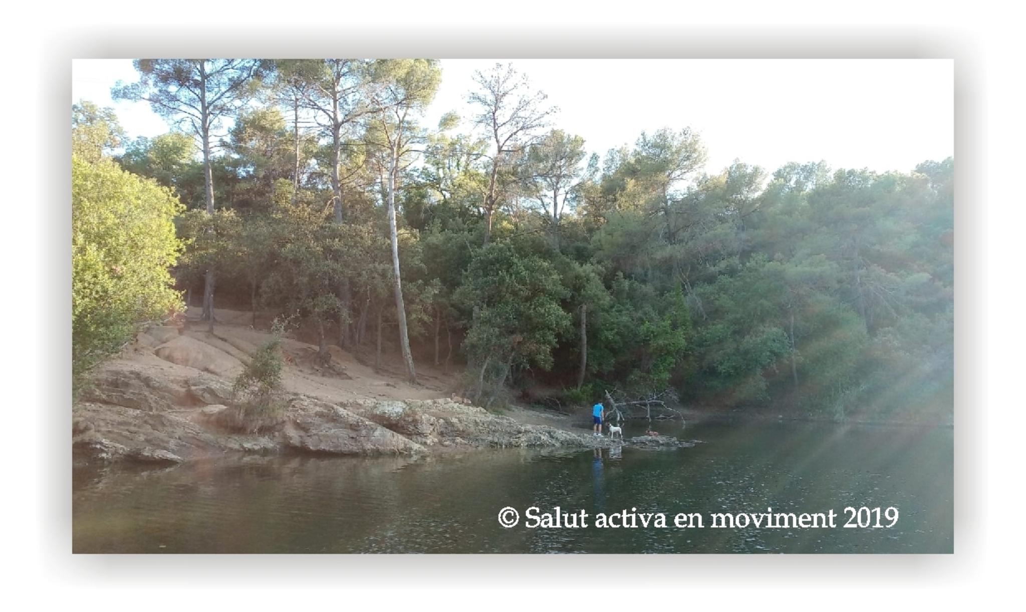  Jaume Olivet 2019