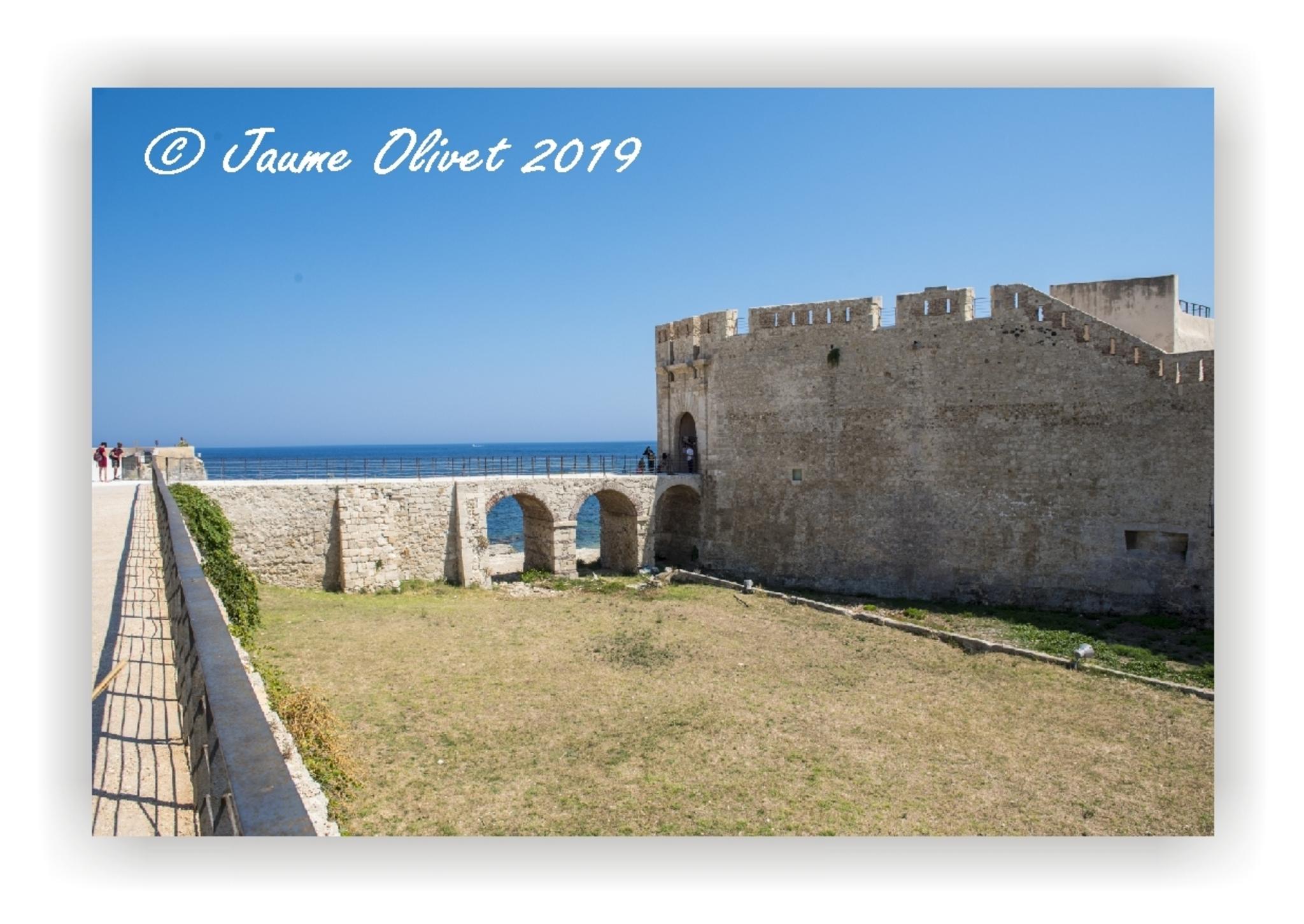  Jaume Olivet 2019