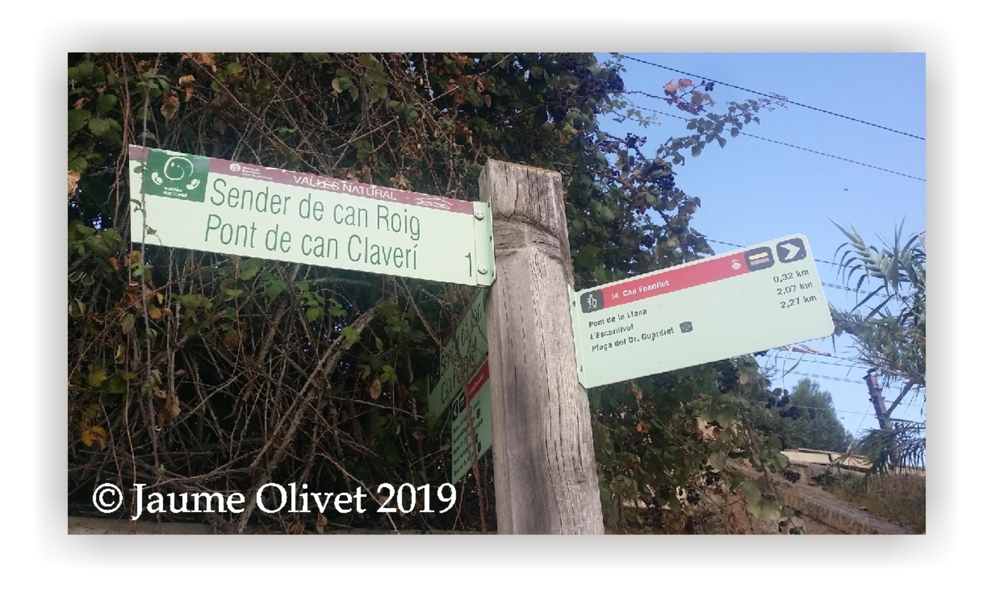 Jaume Olivet 2019
