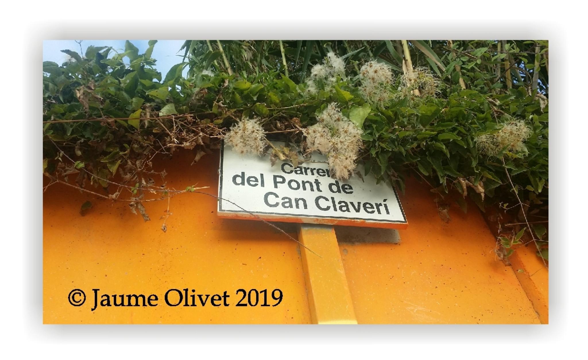  Jaume Olivet 2019