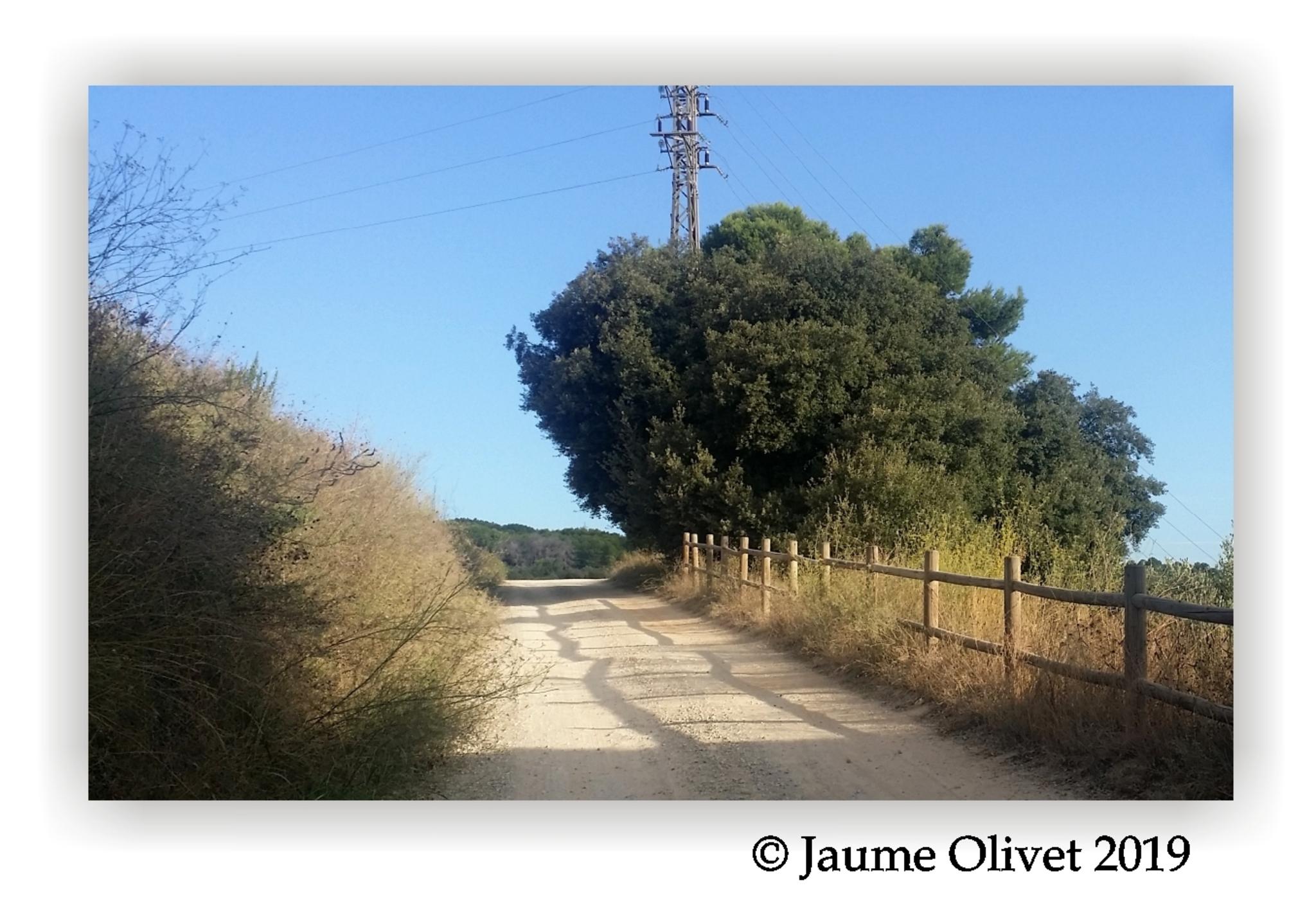  Jaume Olivet 2019