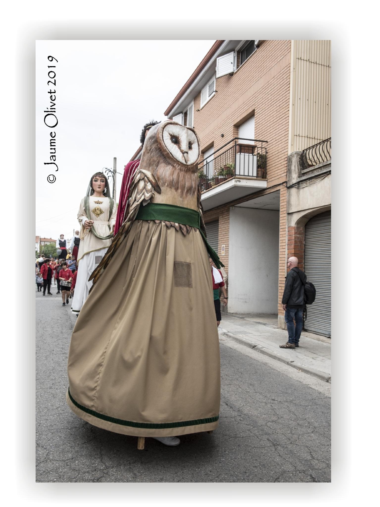  Jaume Olivet 2019