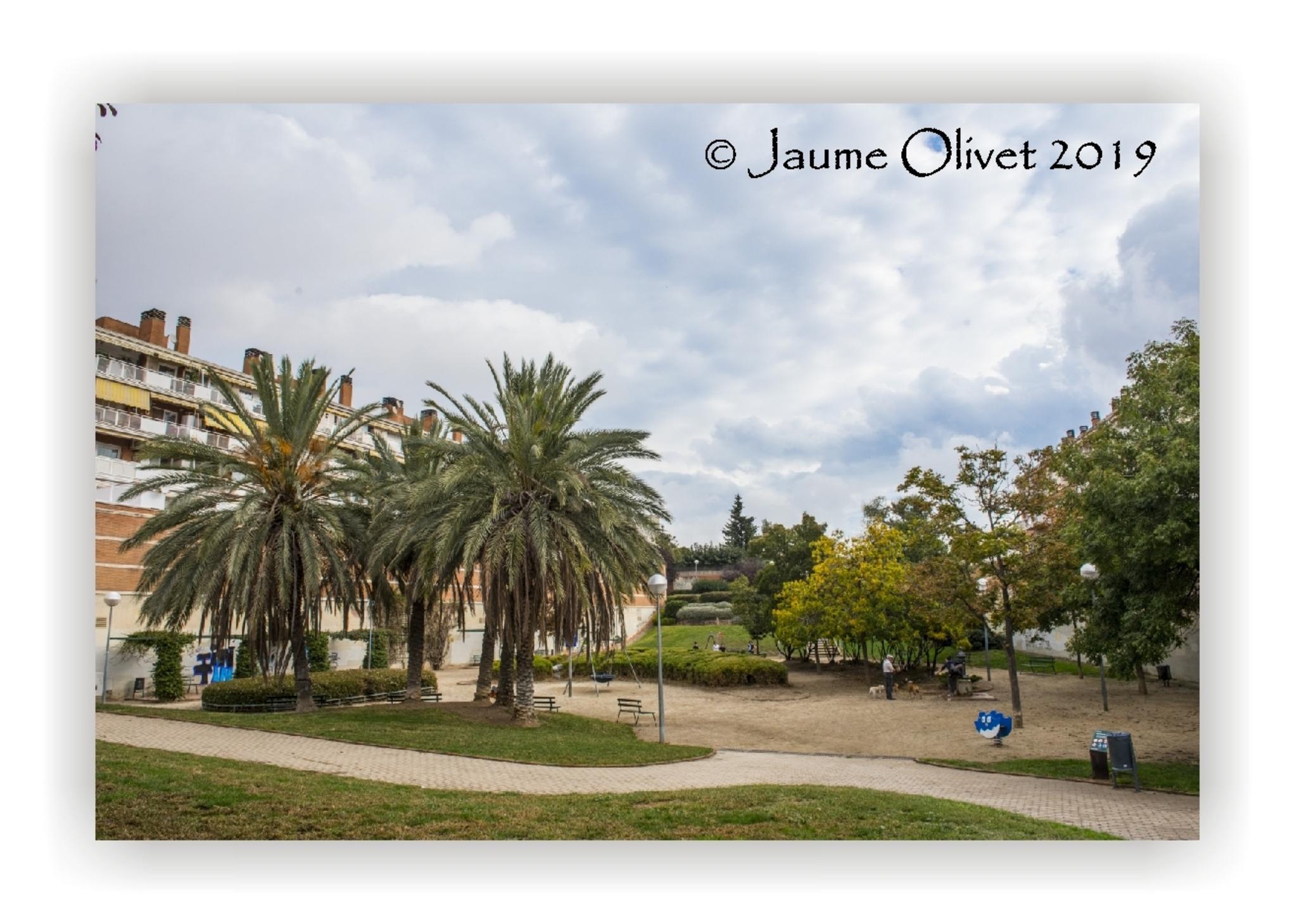  Jaume Olivet 2019