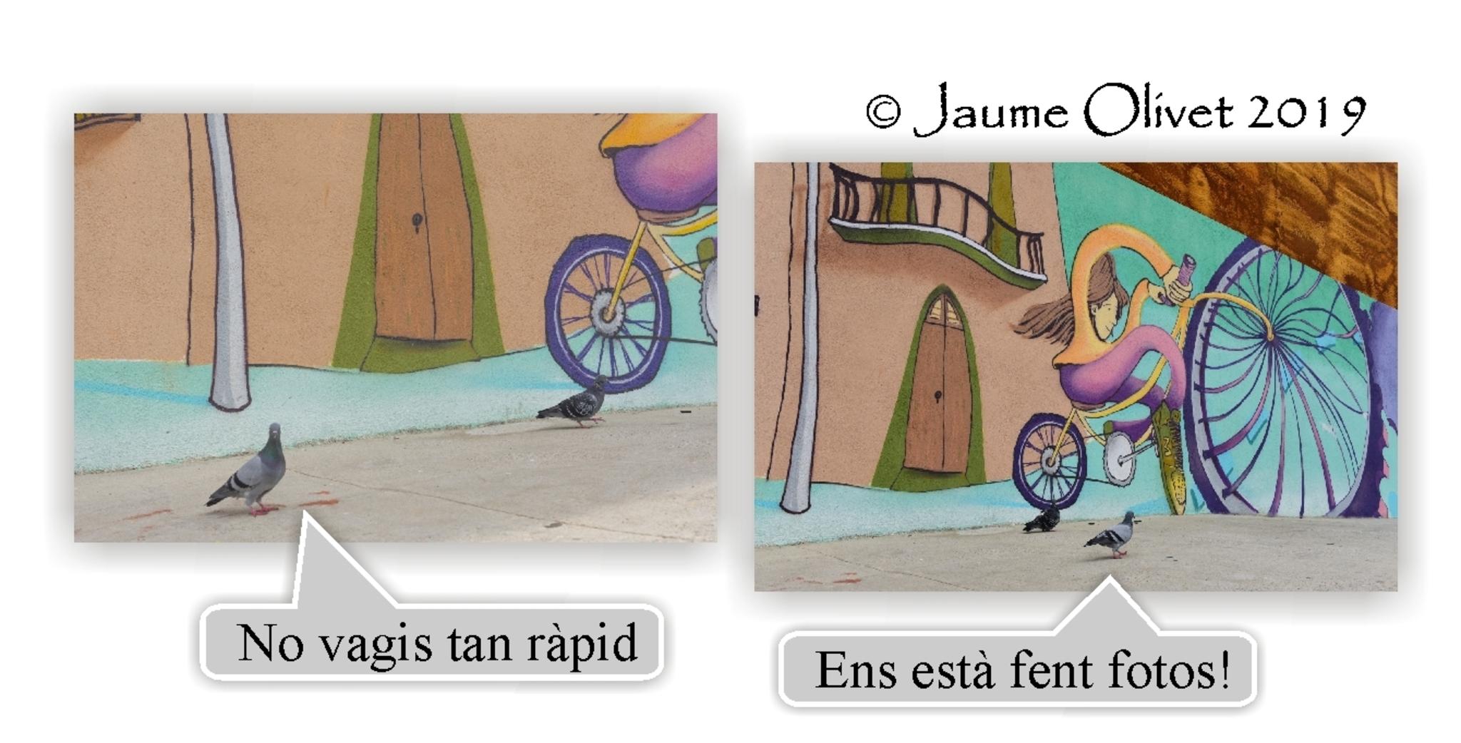  Jaume Olivet 2019