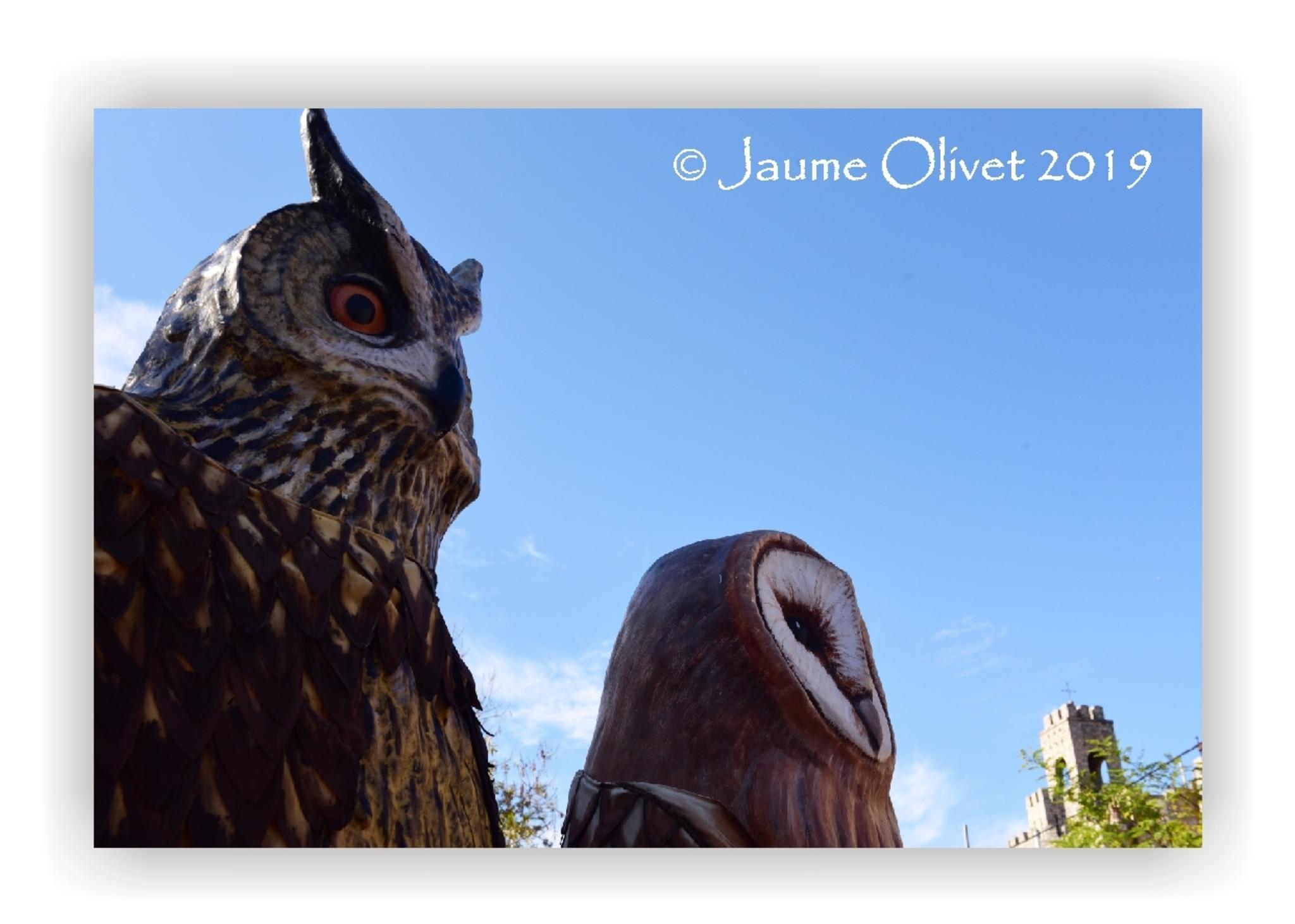  Jaume Olivet 2019