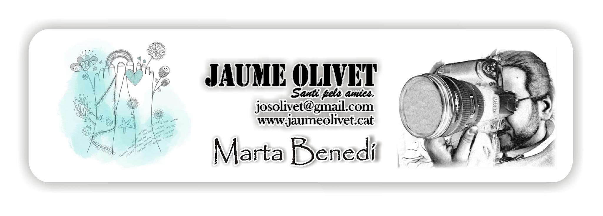  Jaume Olivet 2019