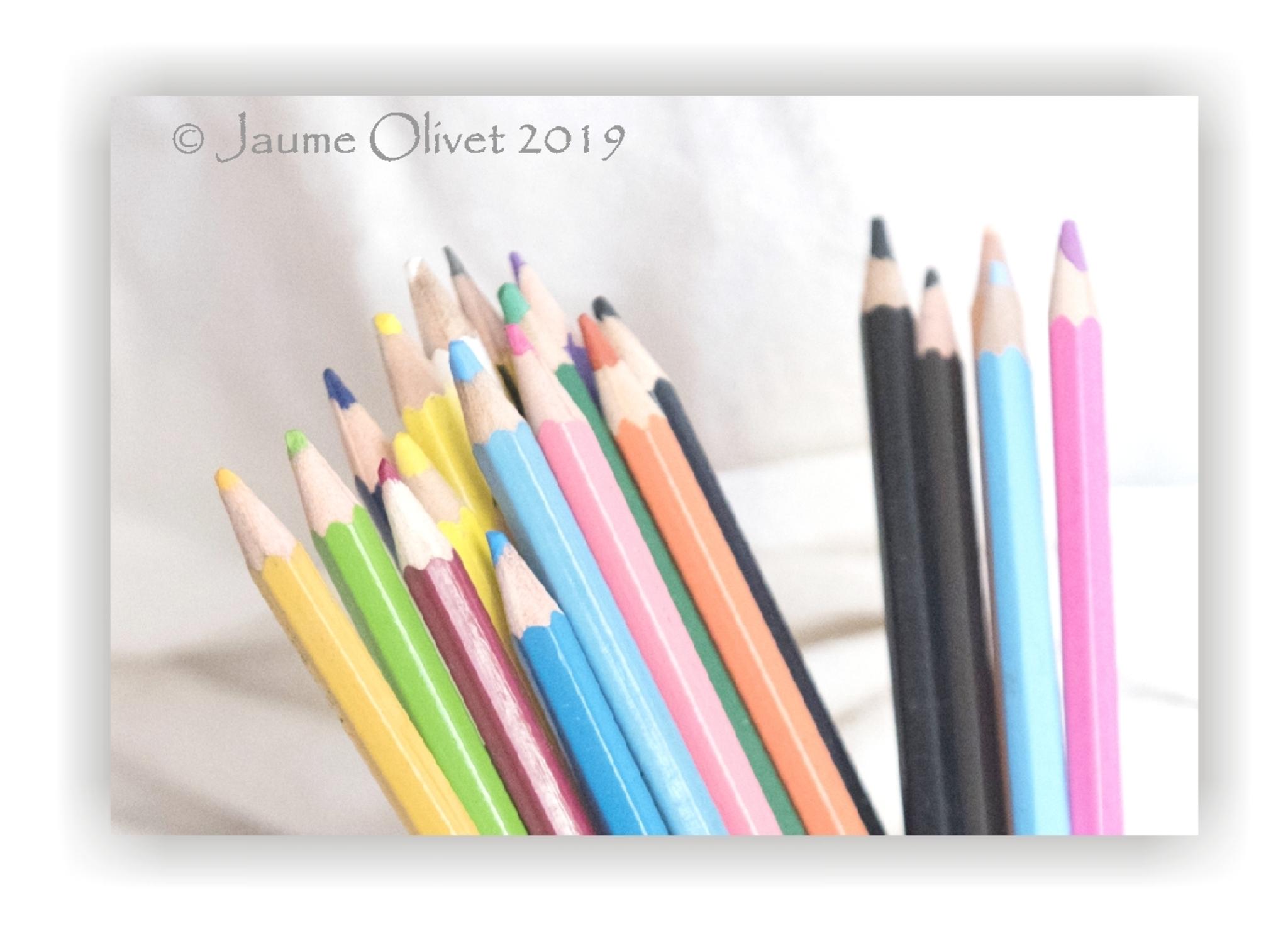  Jaume Olivet 2019