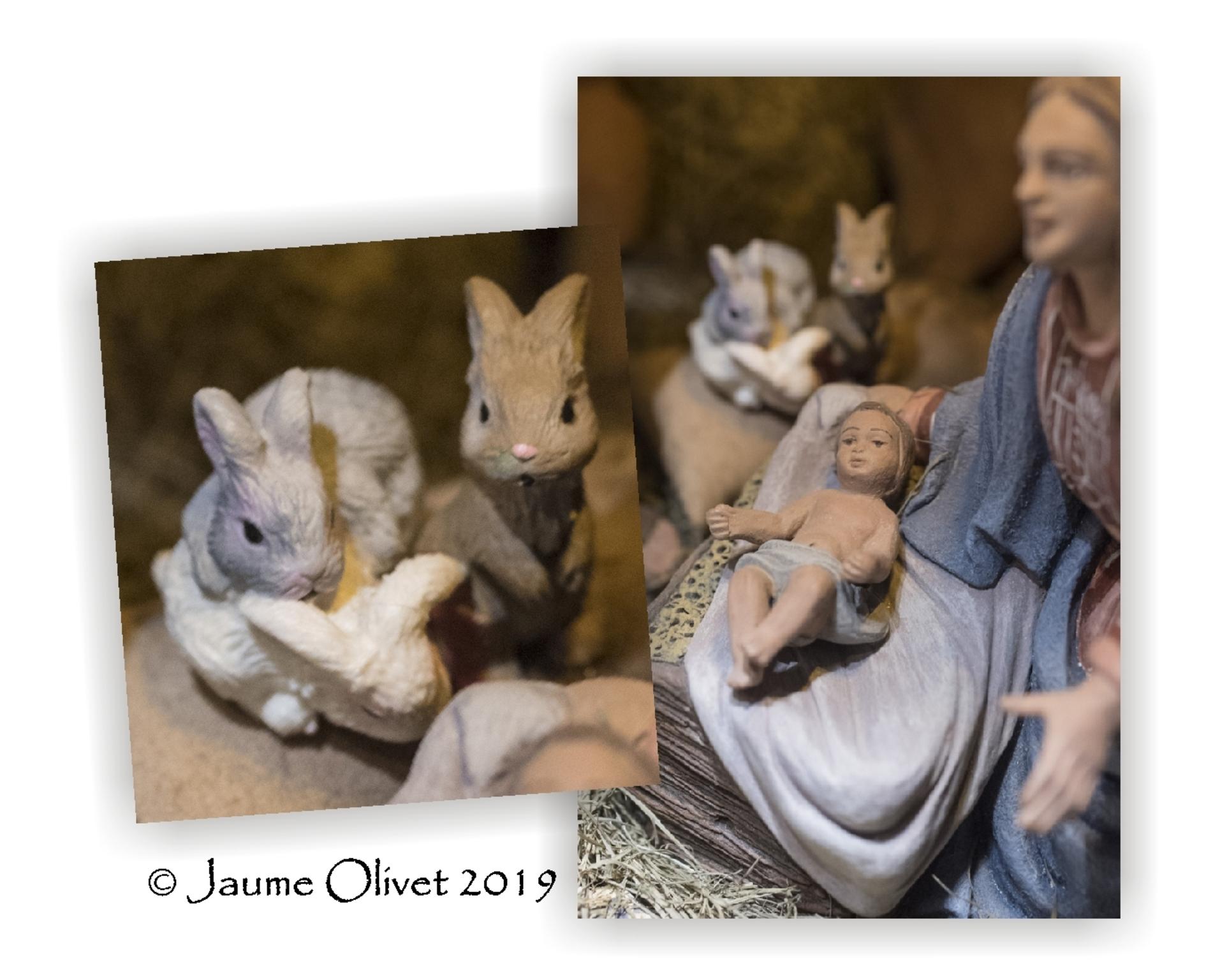  Jaume Olivet 2019