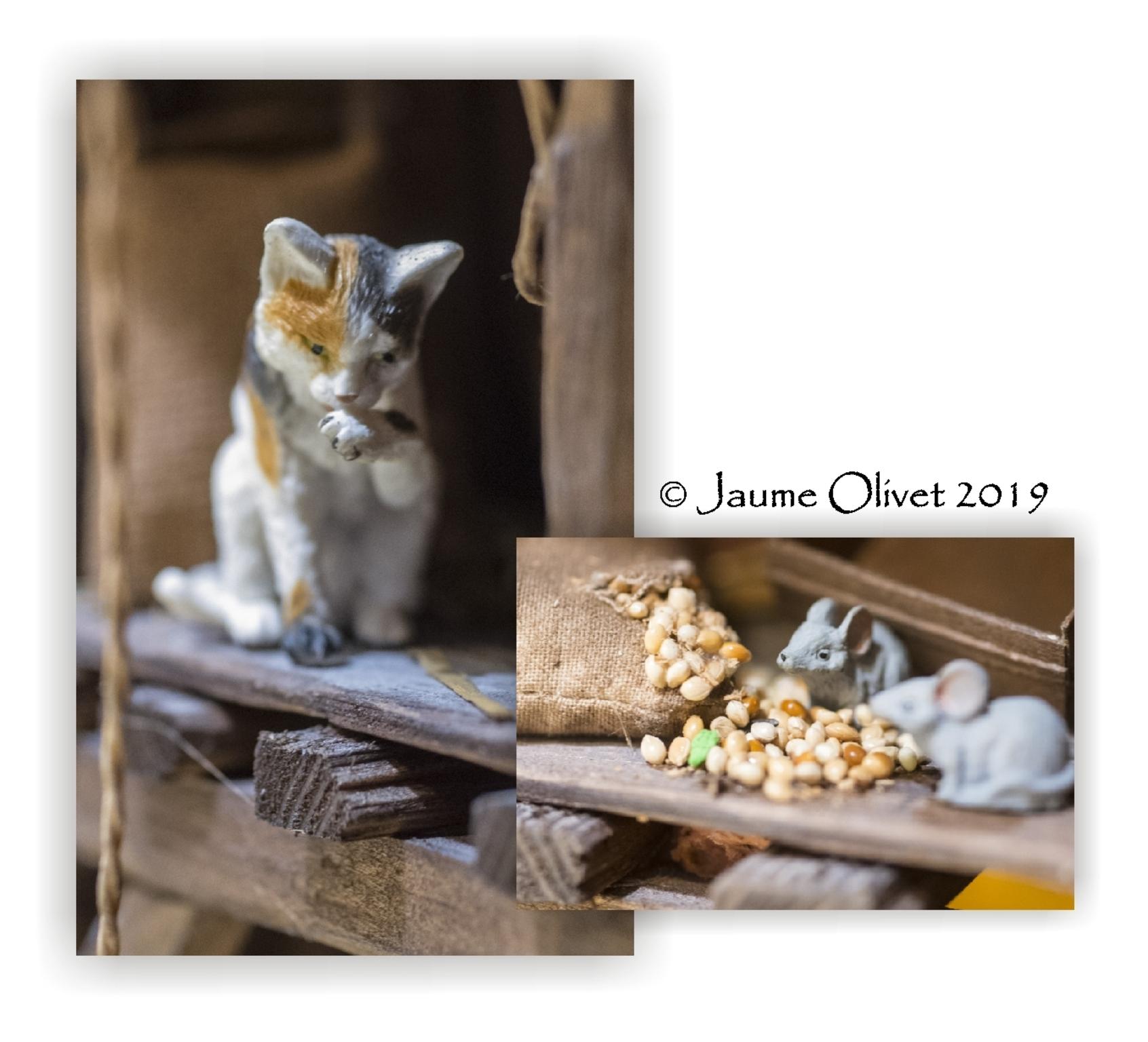  Jaume Olivet 2019