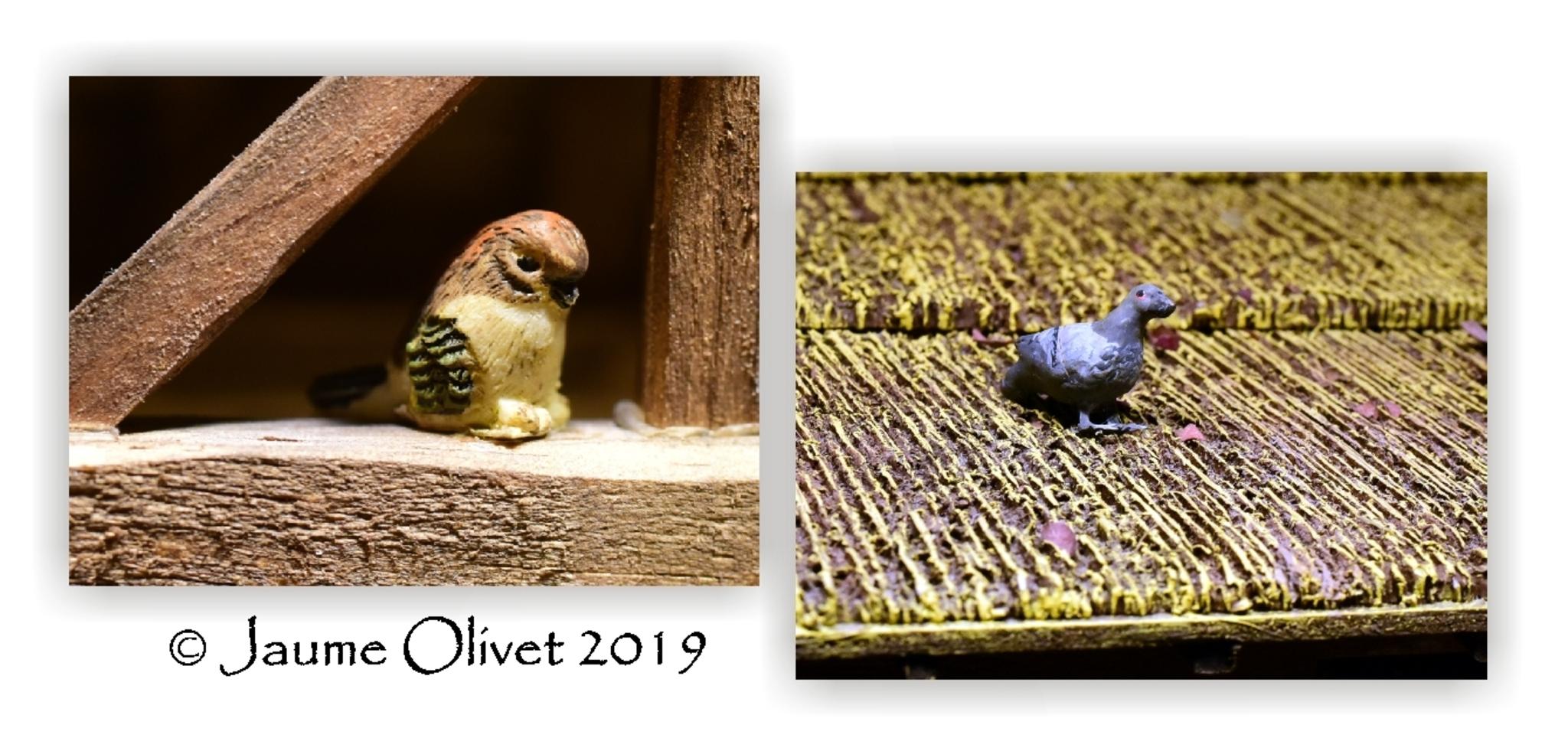  Jaume Olivet 2019