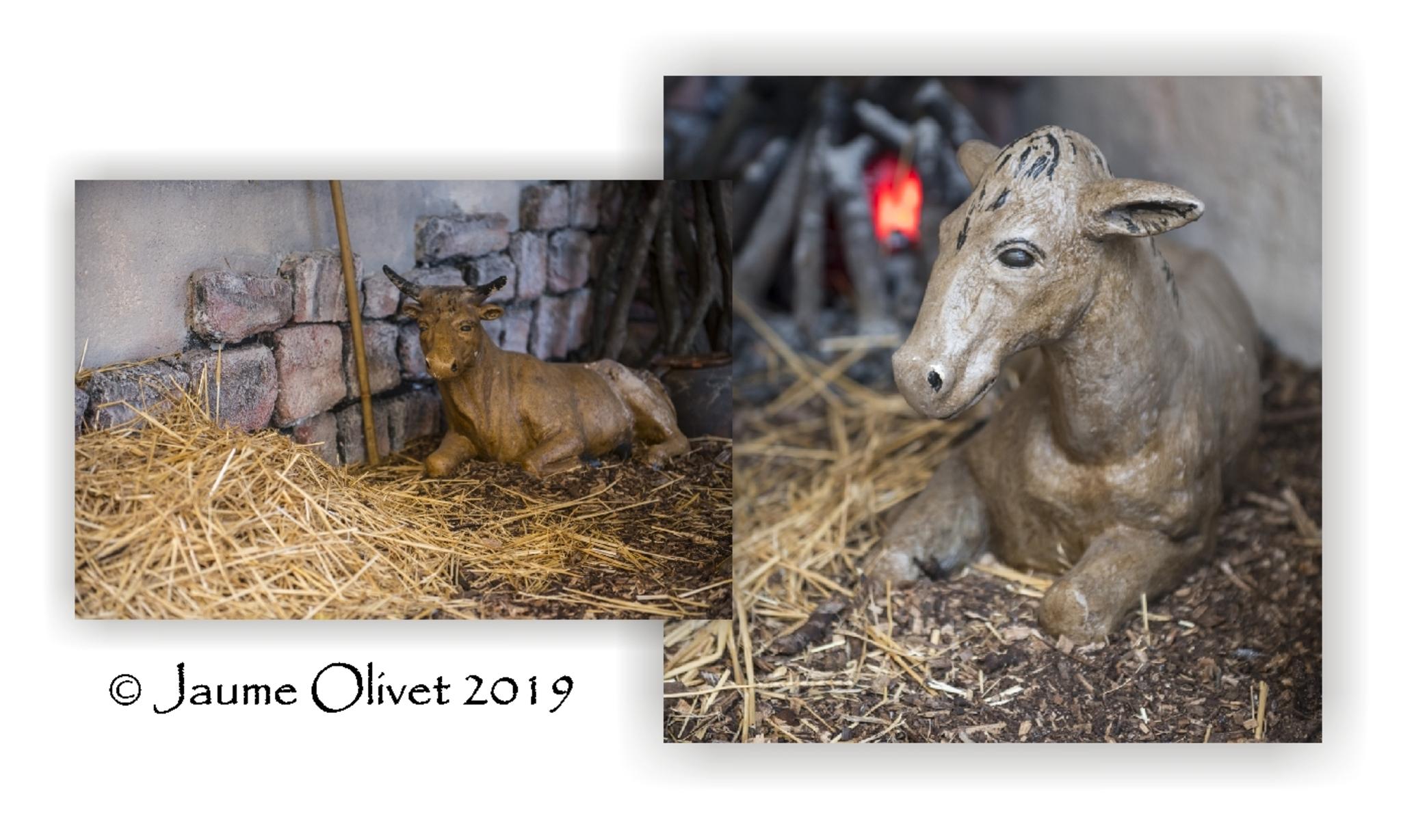  Jaume Olivet 2019