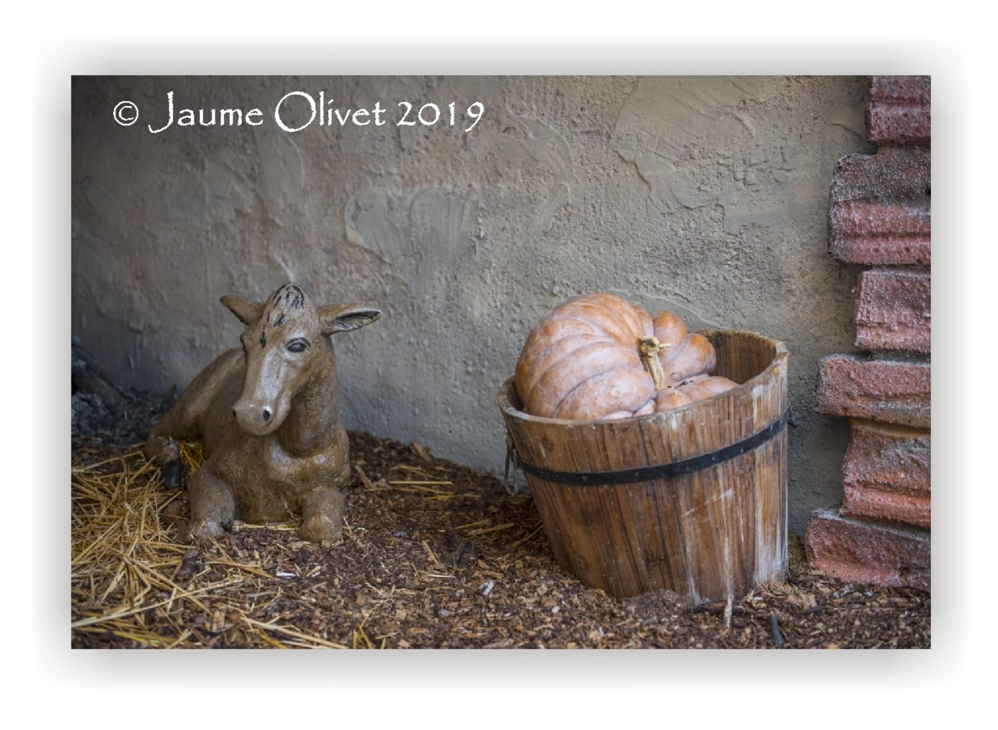  Jaume Olivet 2019