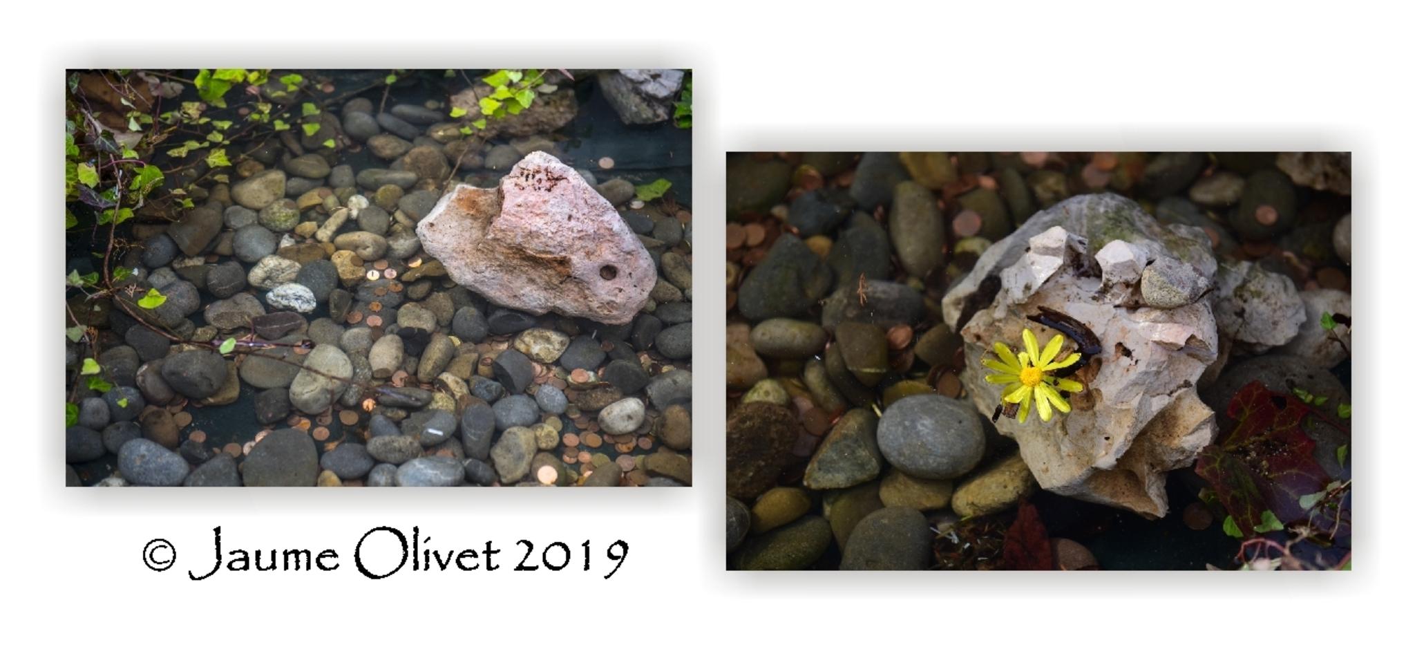  Jaume Olivet 2019