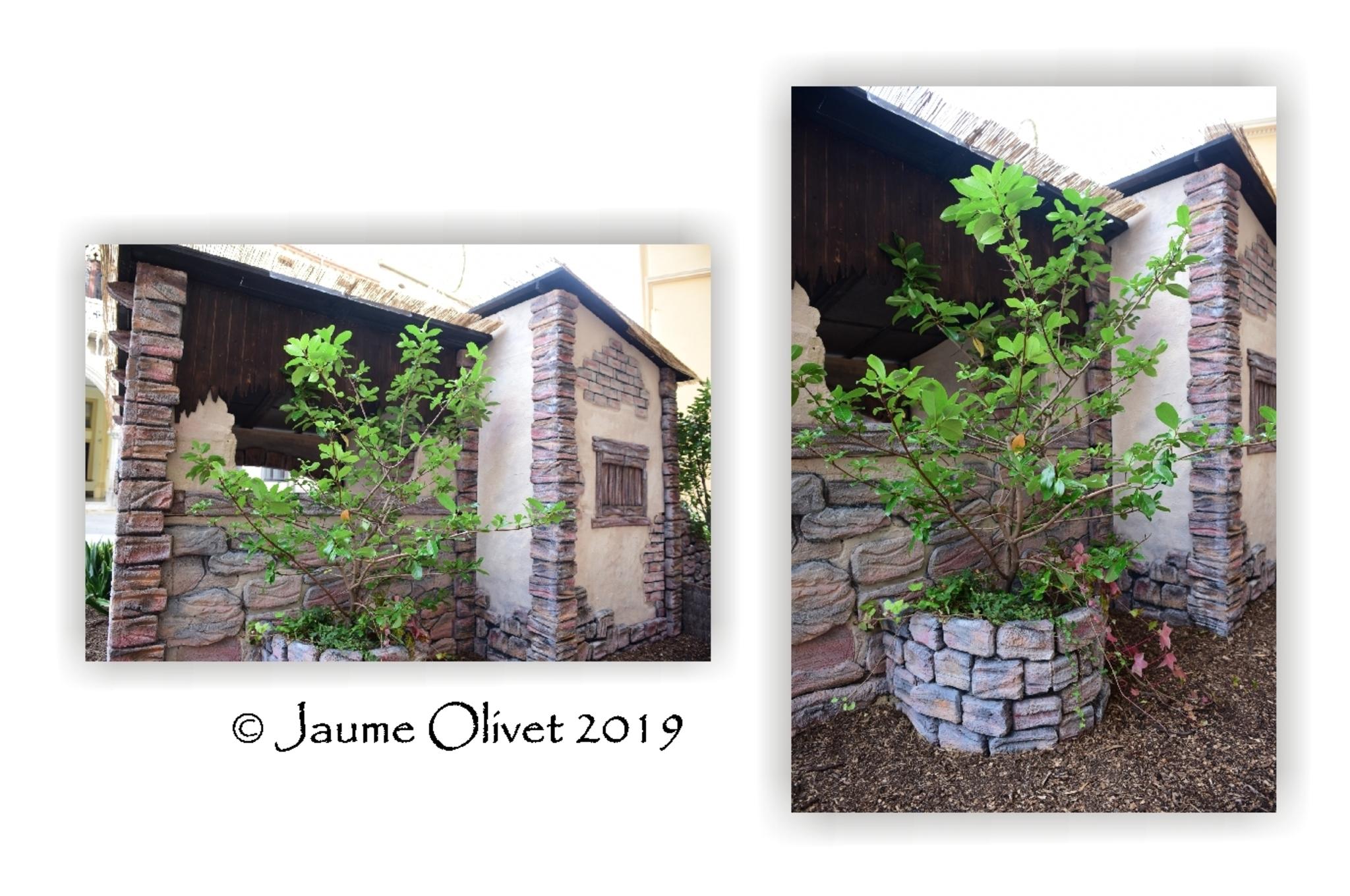  Jaume Olivet 2019