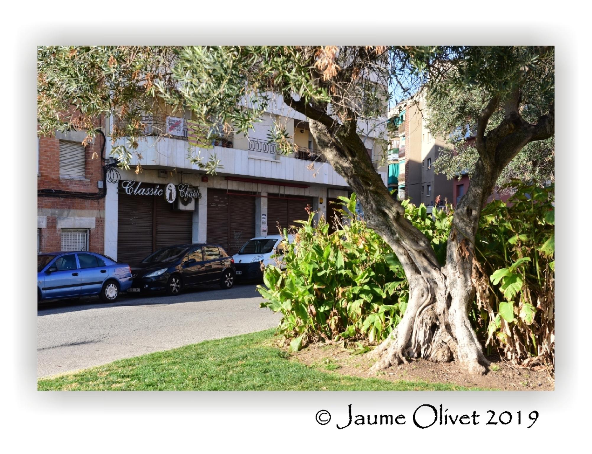  Jaume Olivet 2019