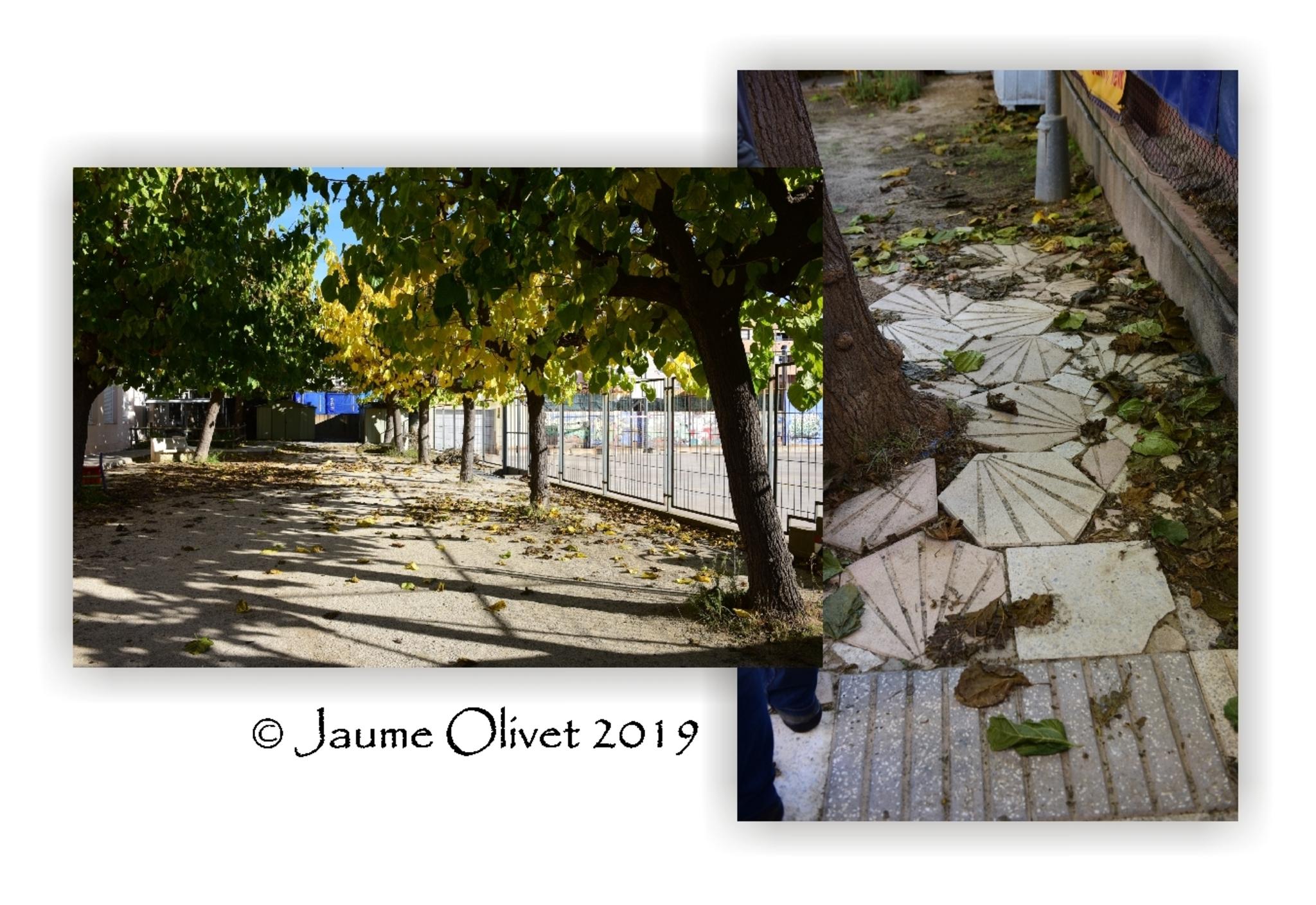  Jaume Olivet 2019