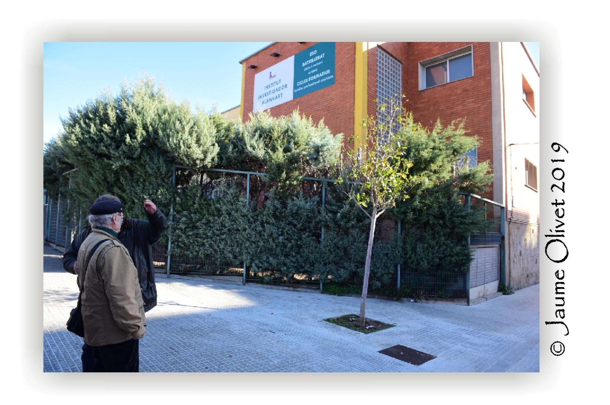  Jaume Olivet 2019