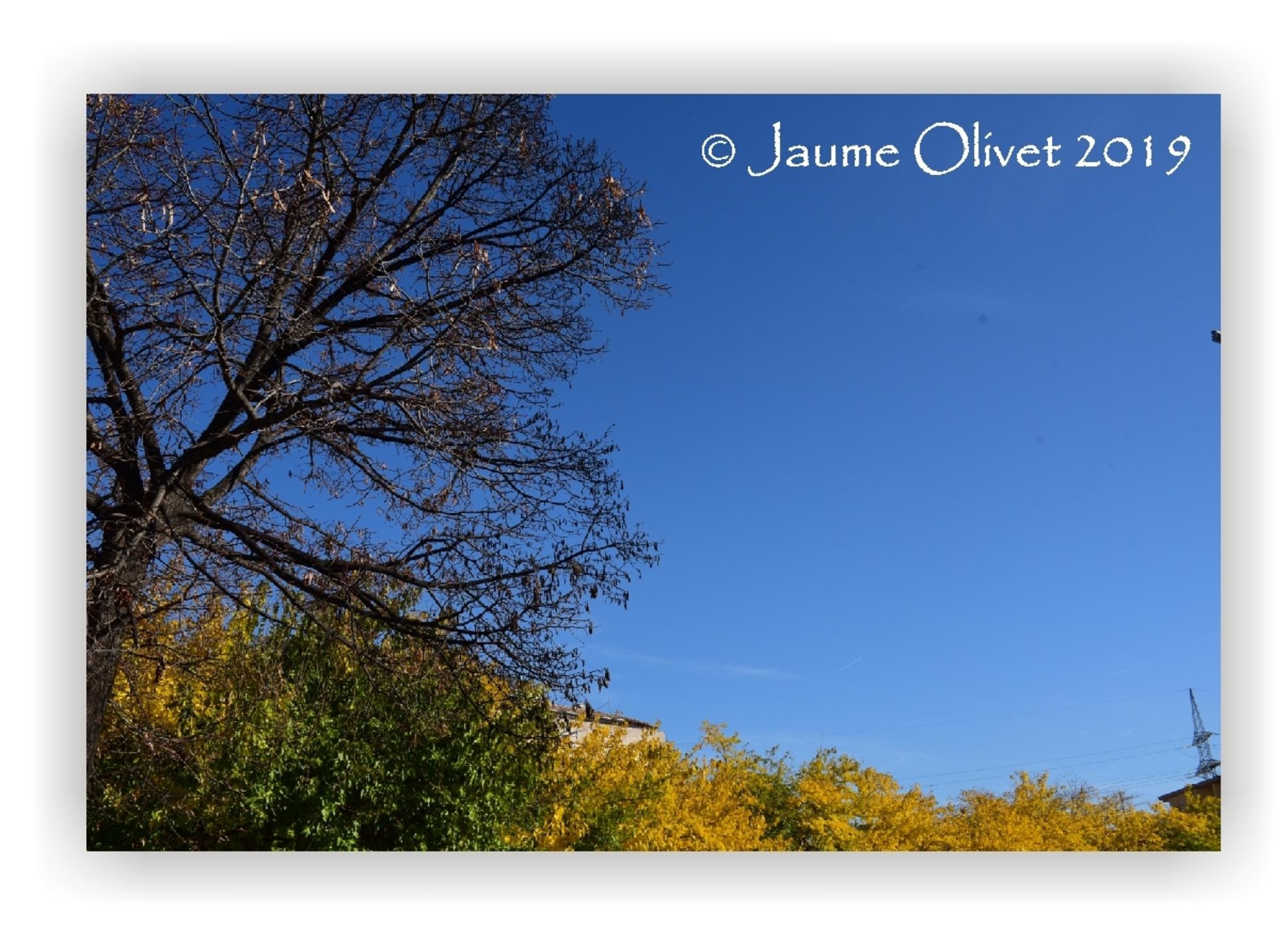  Jaume Olivet 2019