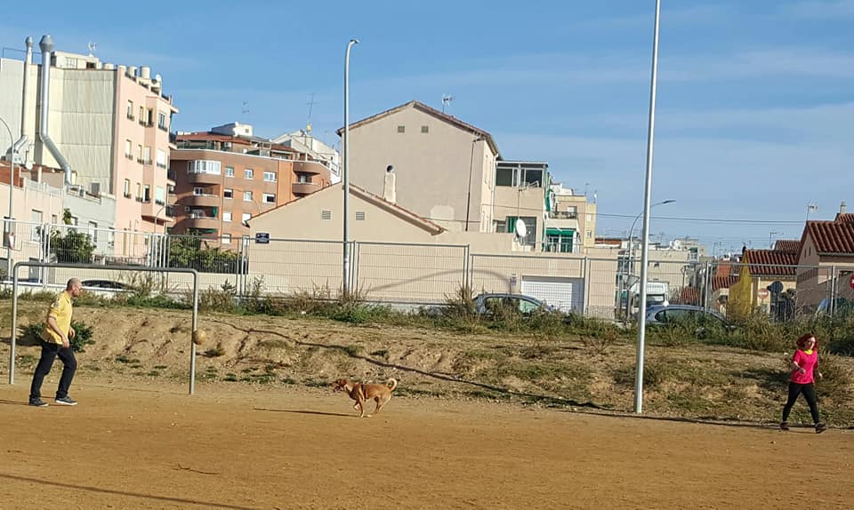  Matilde Garcia 2019