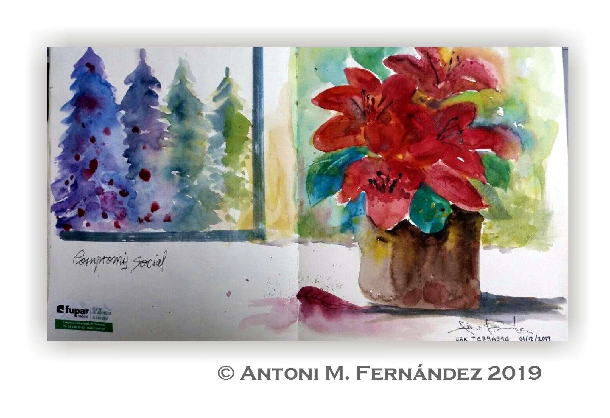  Antoni M. Fernndez 2019