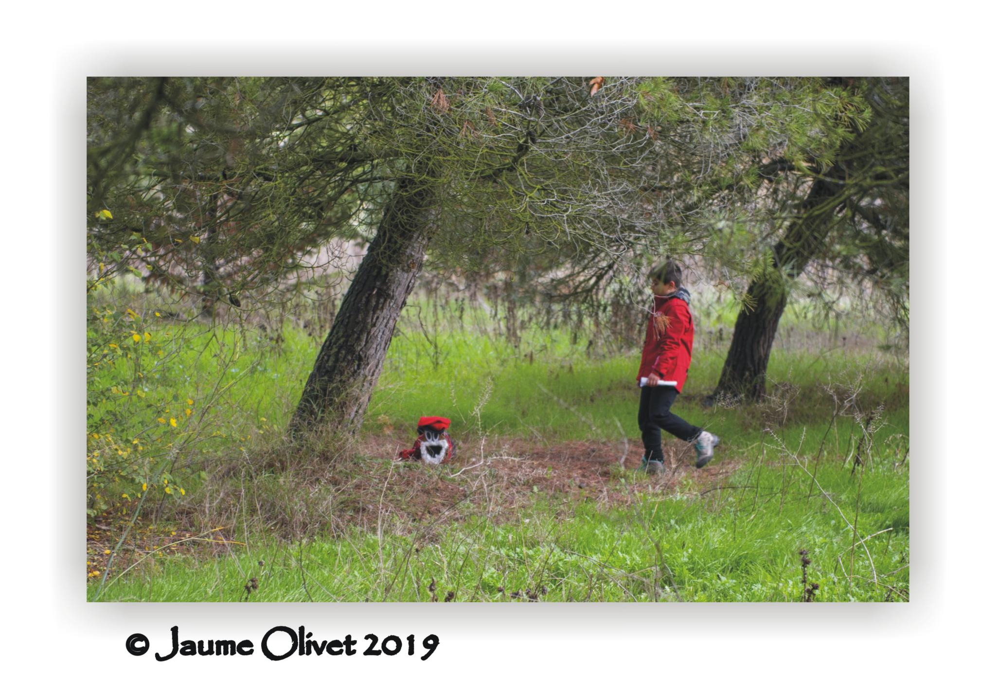  Jaume Olivet 2019