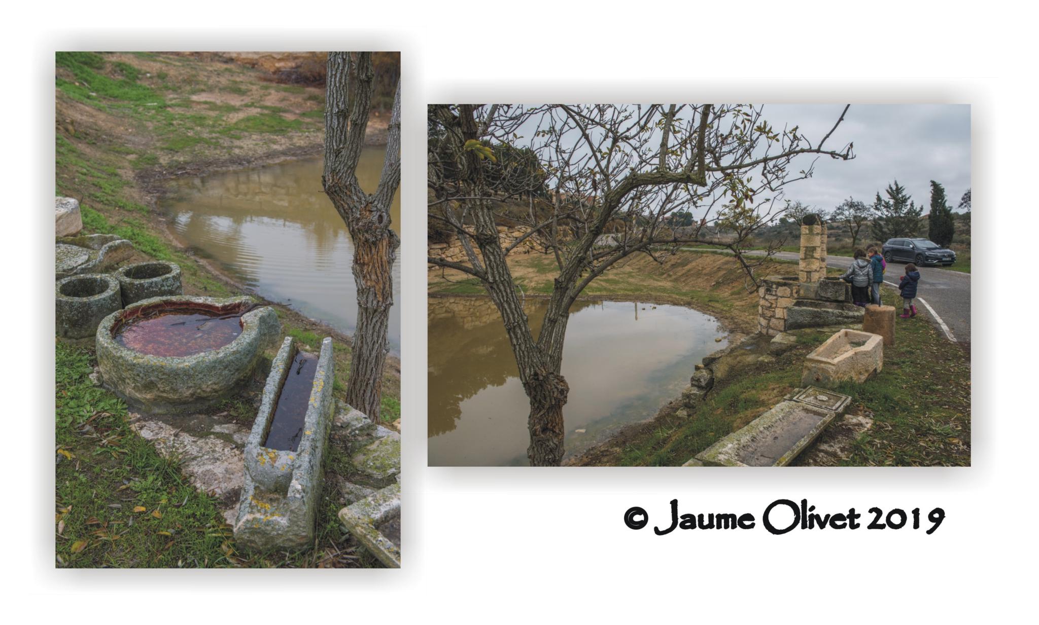  Jaume Olivet 2019