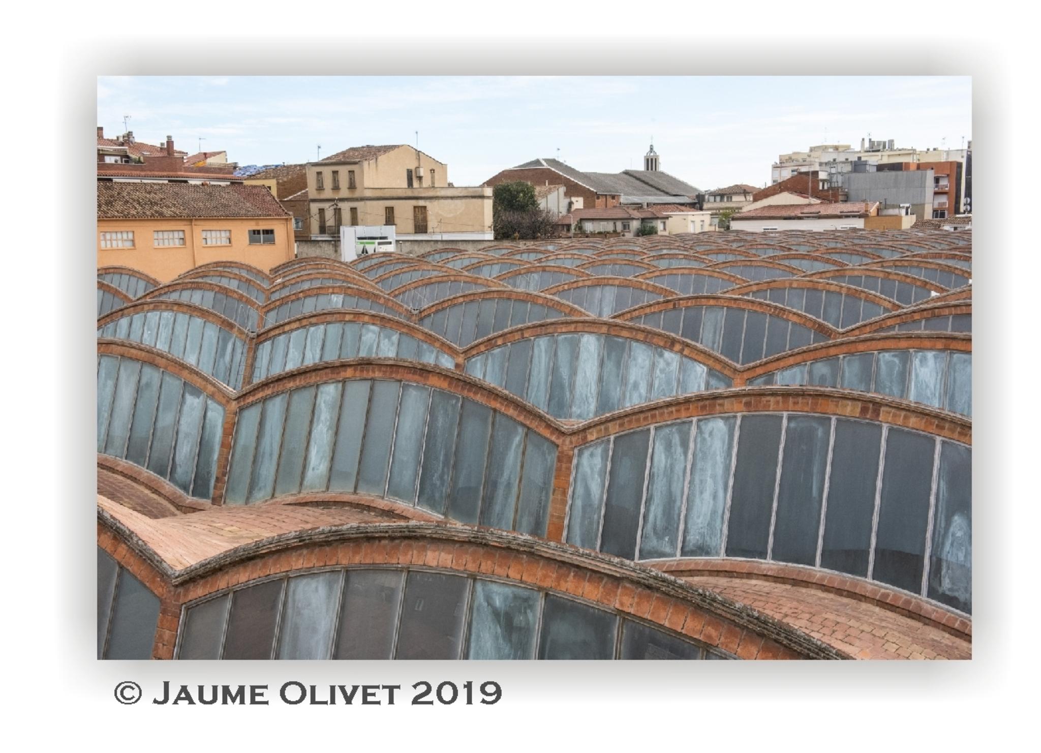  Jaume Olivet 2019