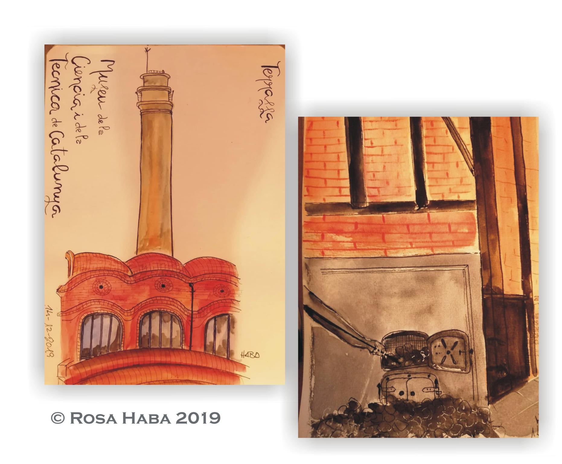  Rosa Haba 2019