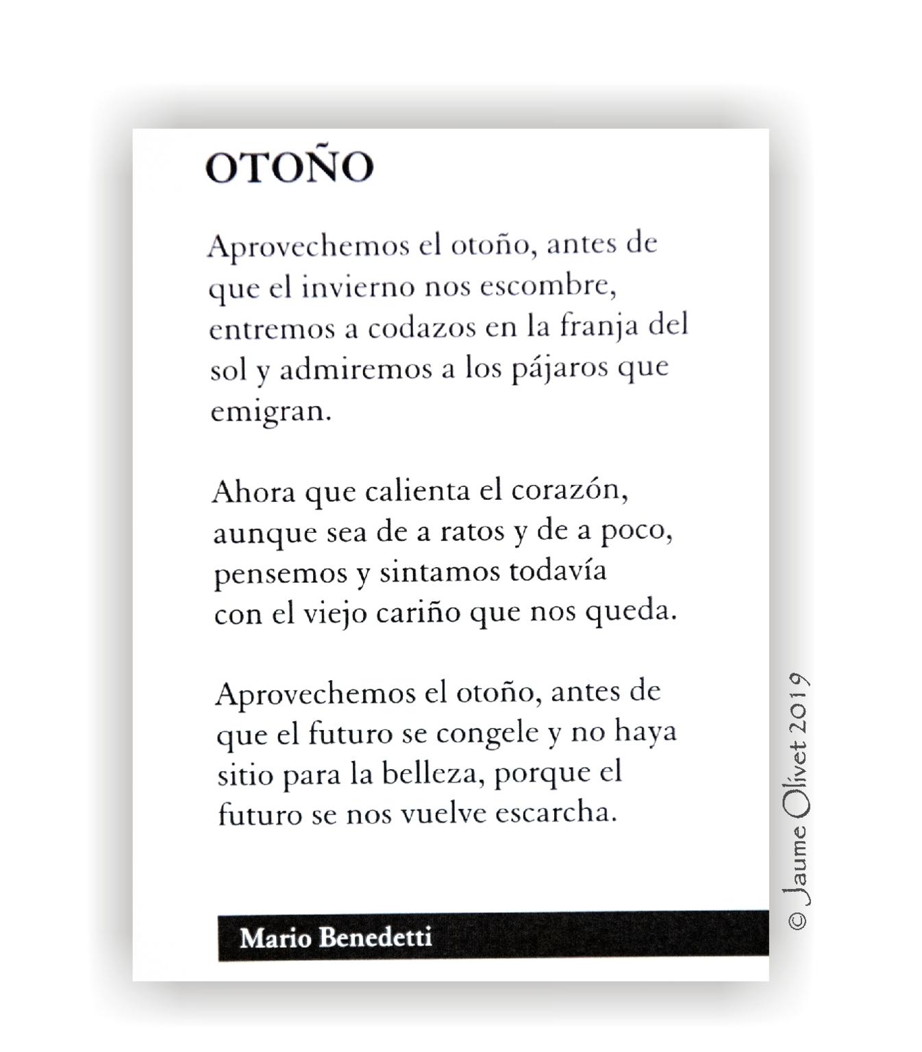  Jaume Olivet 2019