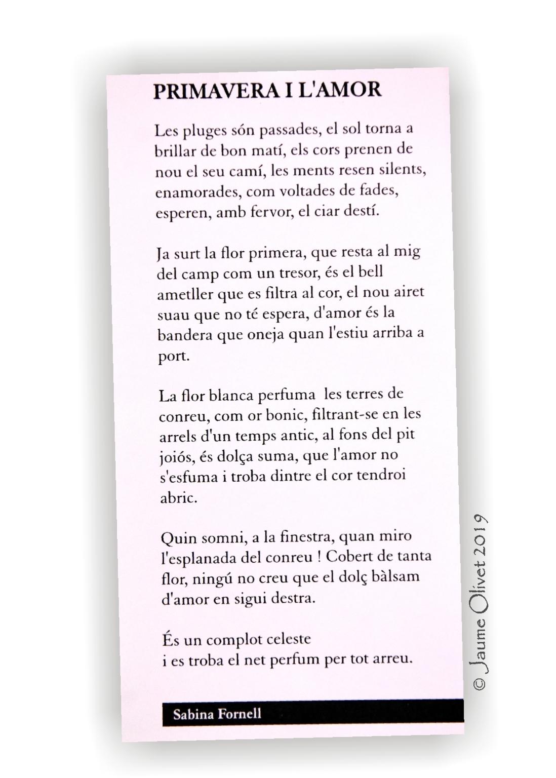  Jaume Olivet 2019