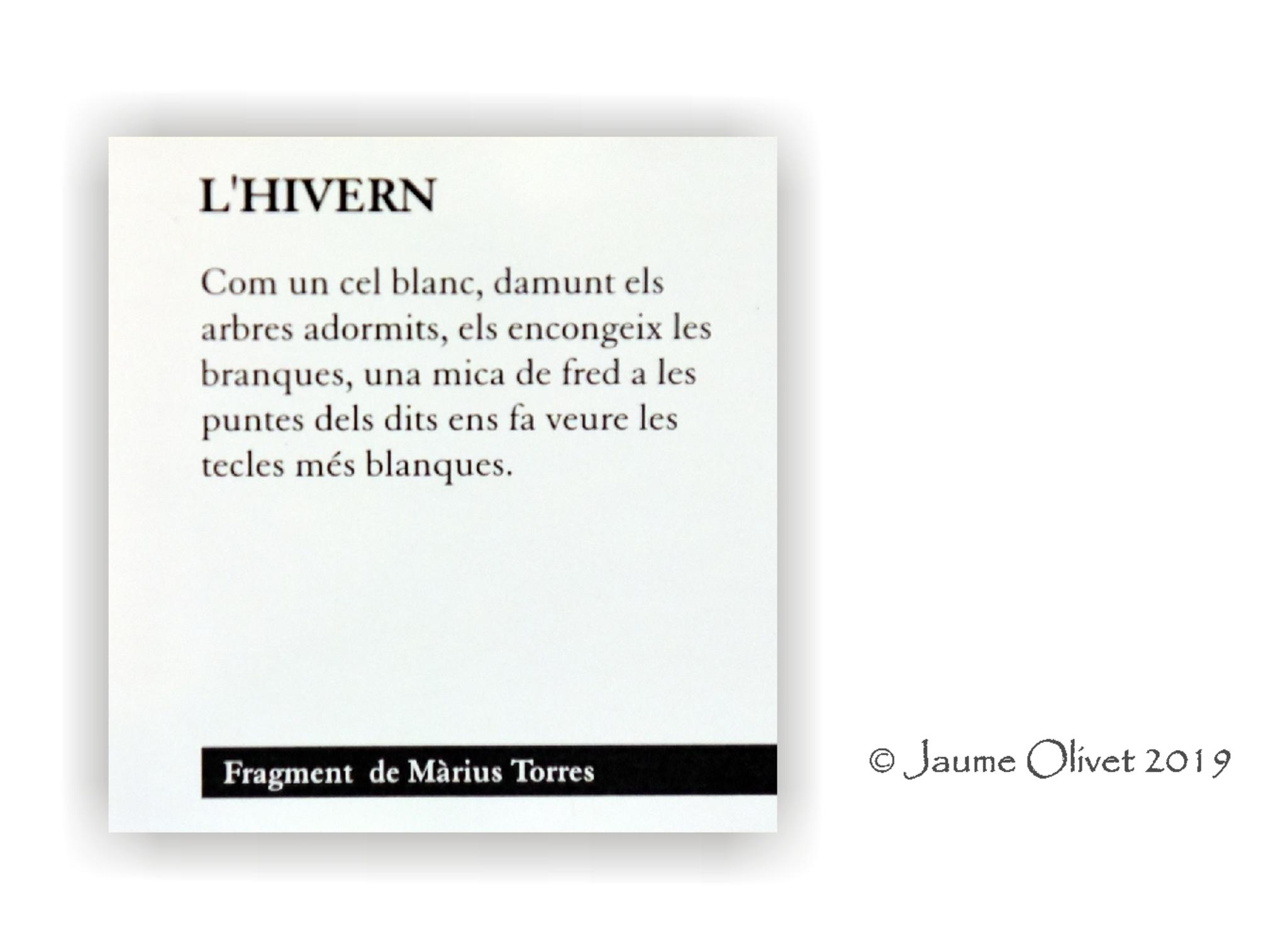  Jaume Olivet 2019