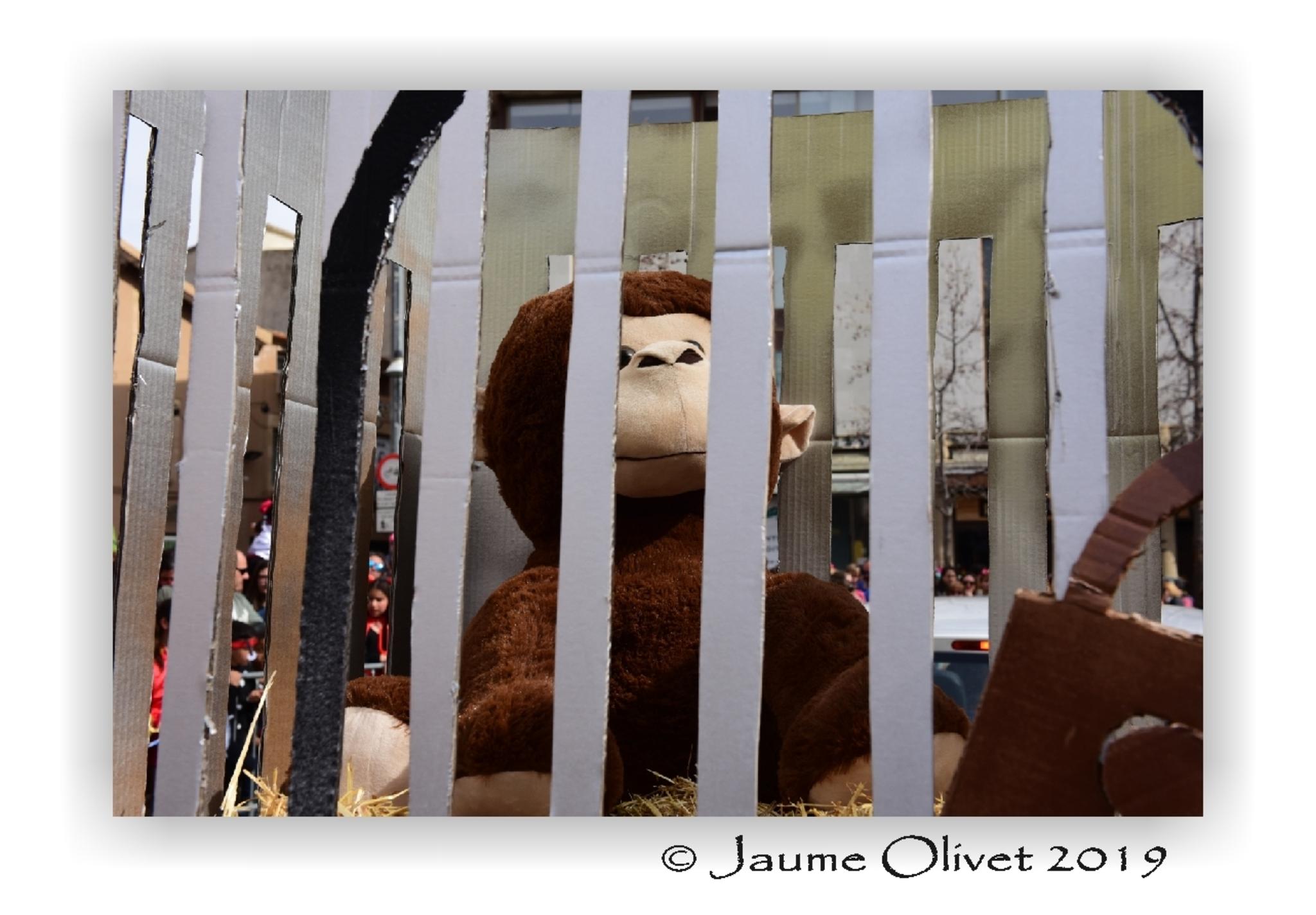  Jaume Olivet 2019