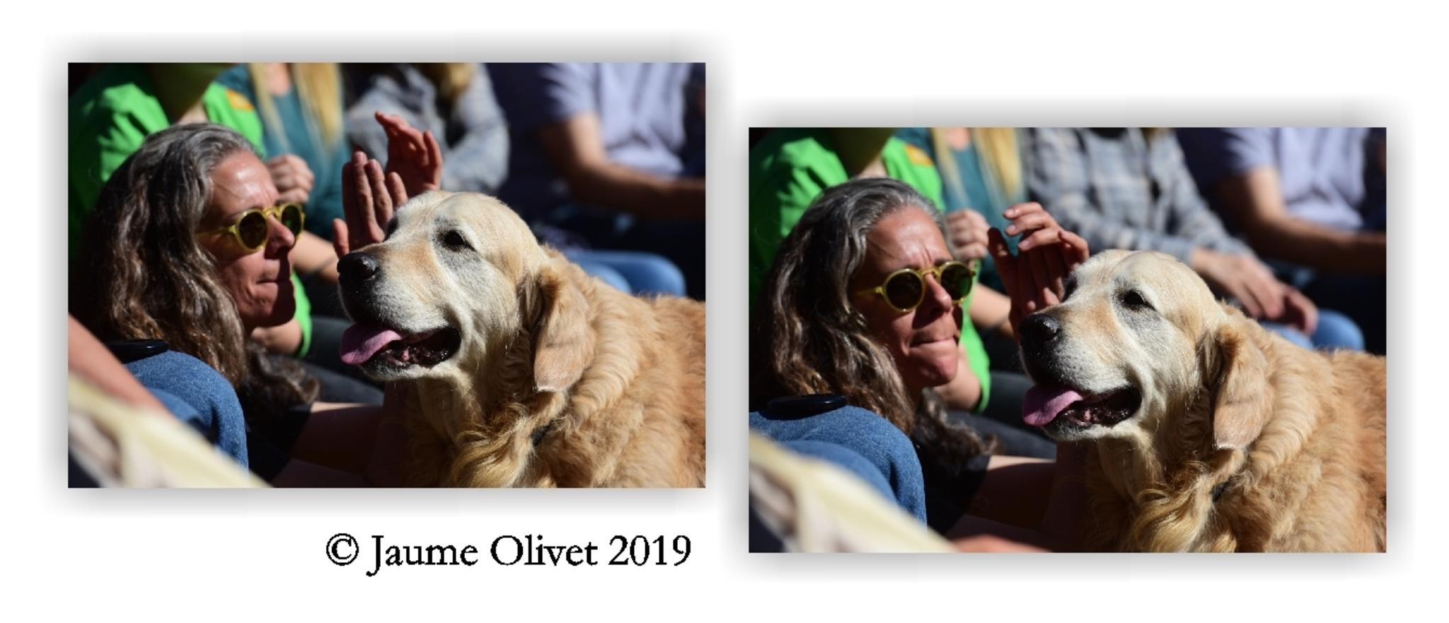  Jaume Olivet 2019