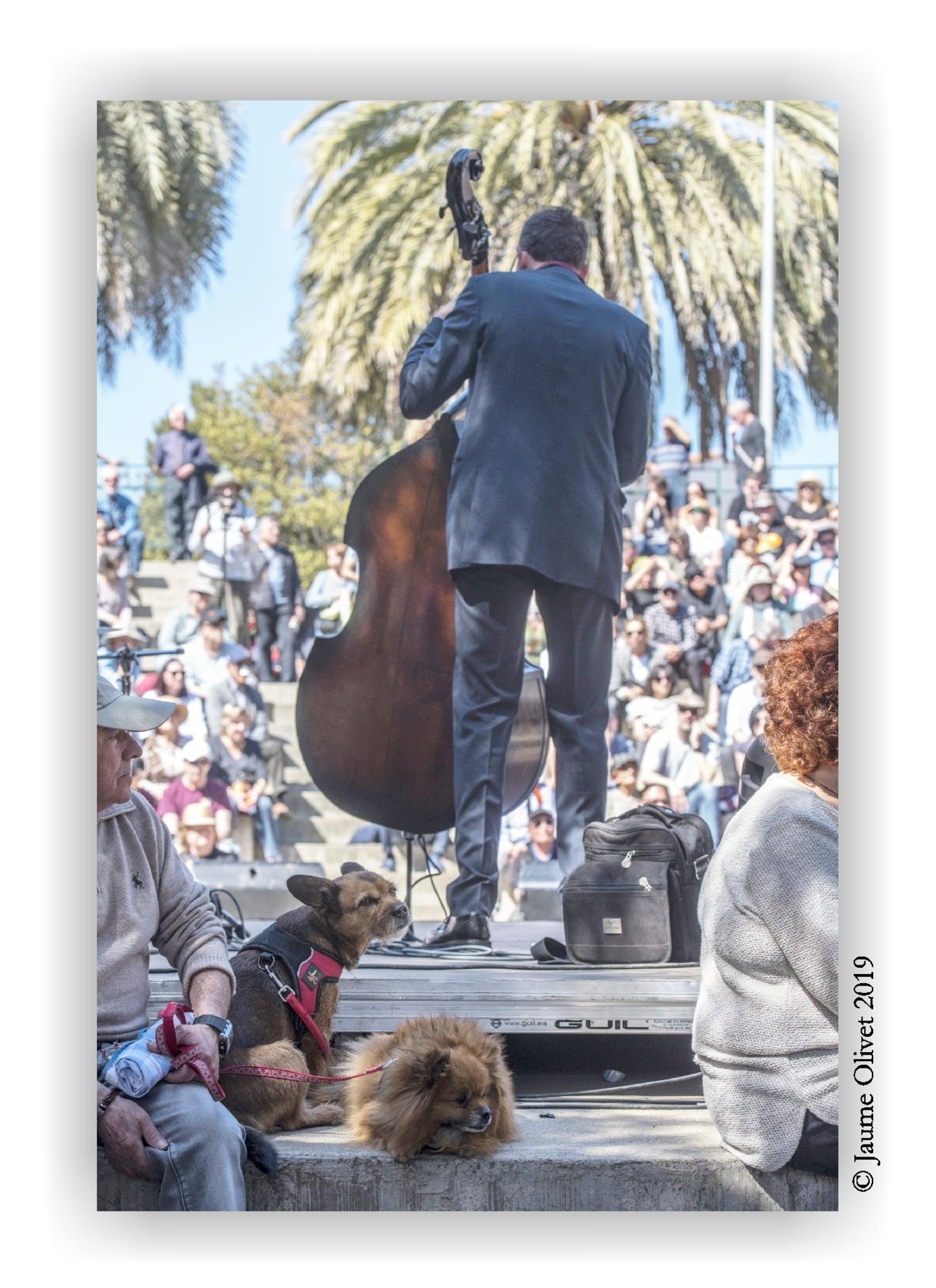  Jaume Olivet 2019