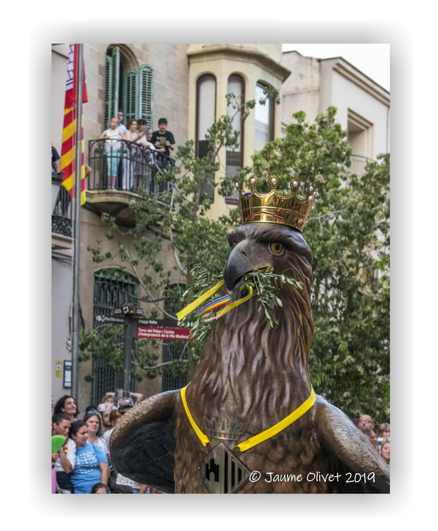  Jaume Olivet 2019