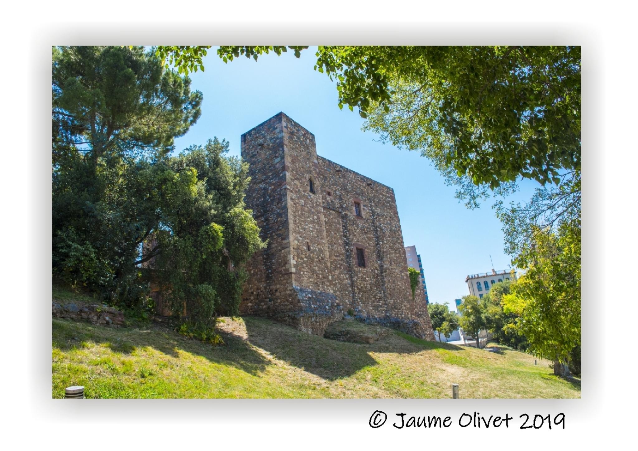  Jaume Olivet 2019